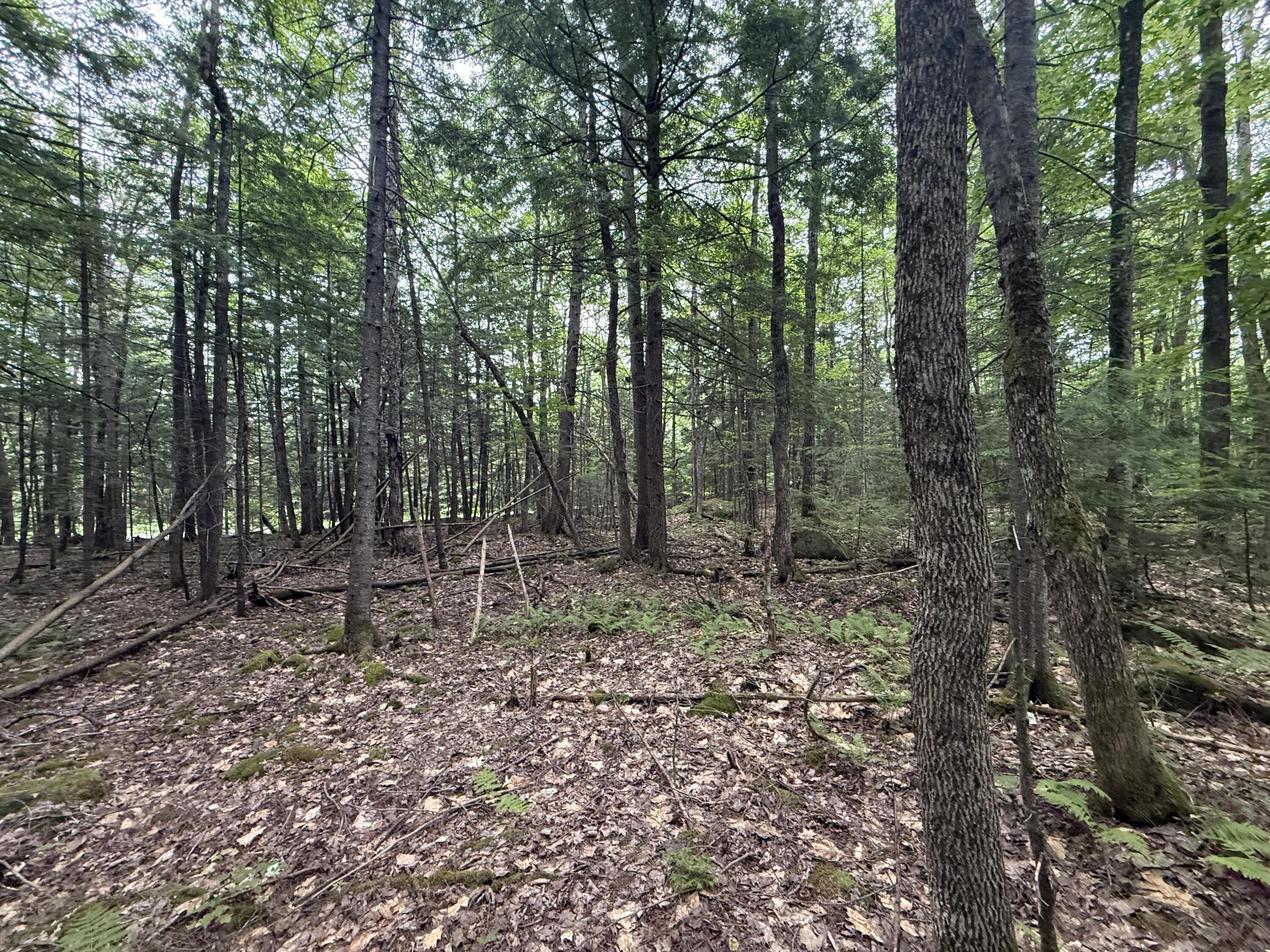 R1 L10a Hovey Road Property Photo 5