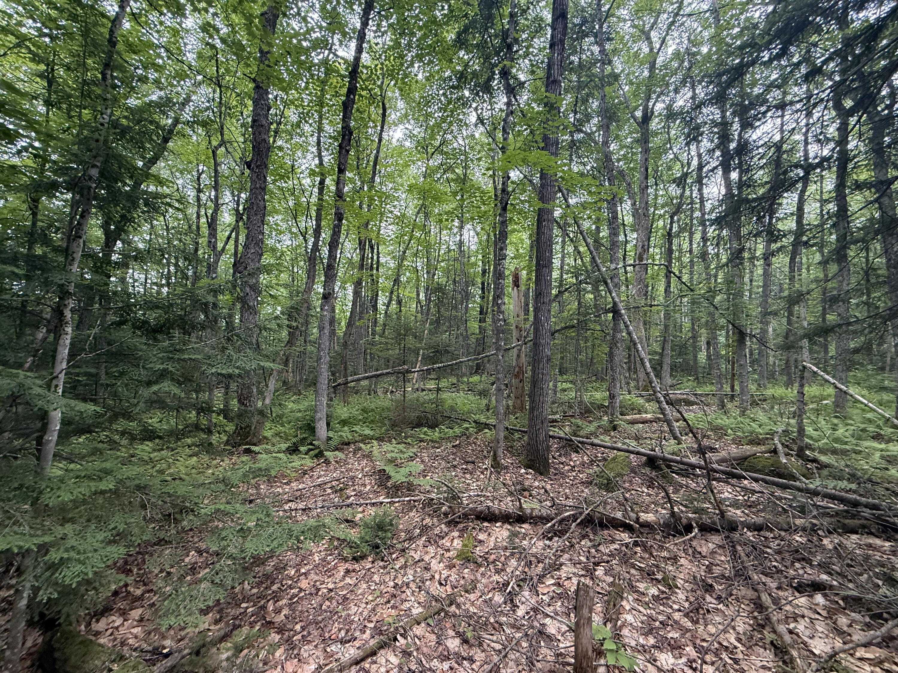 R1 L10a Hovey Road Property Photo 6