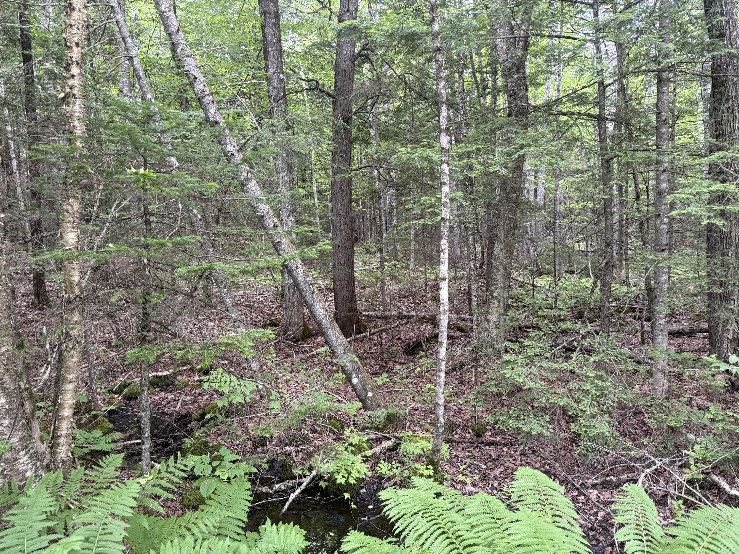 R1 L10a Hovey Road Property Photo 10