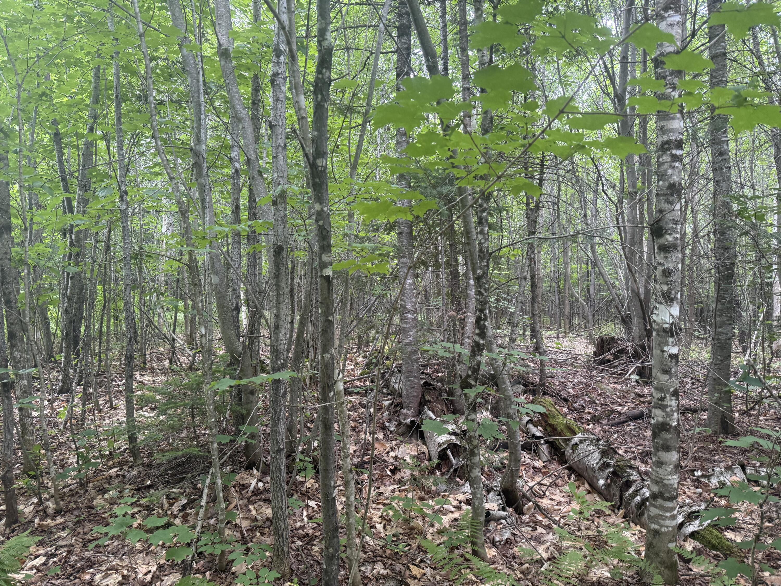 R1 L12 Hovey Road Property Photo 1