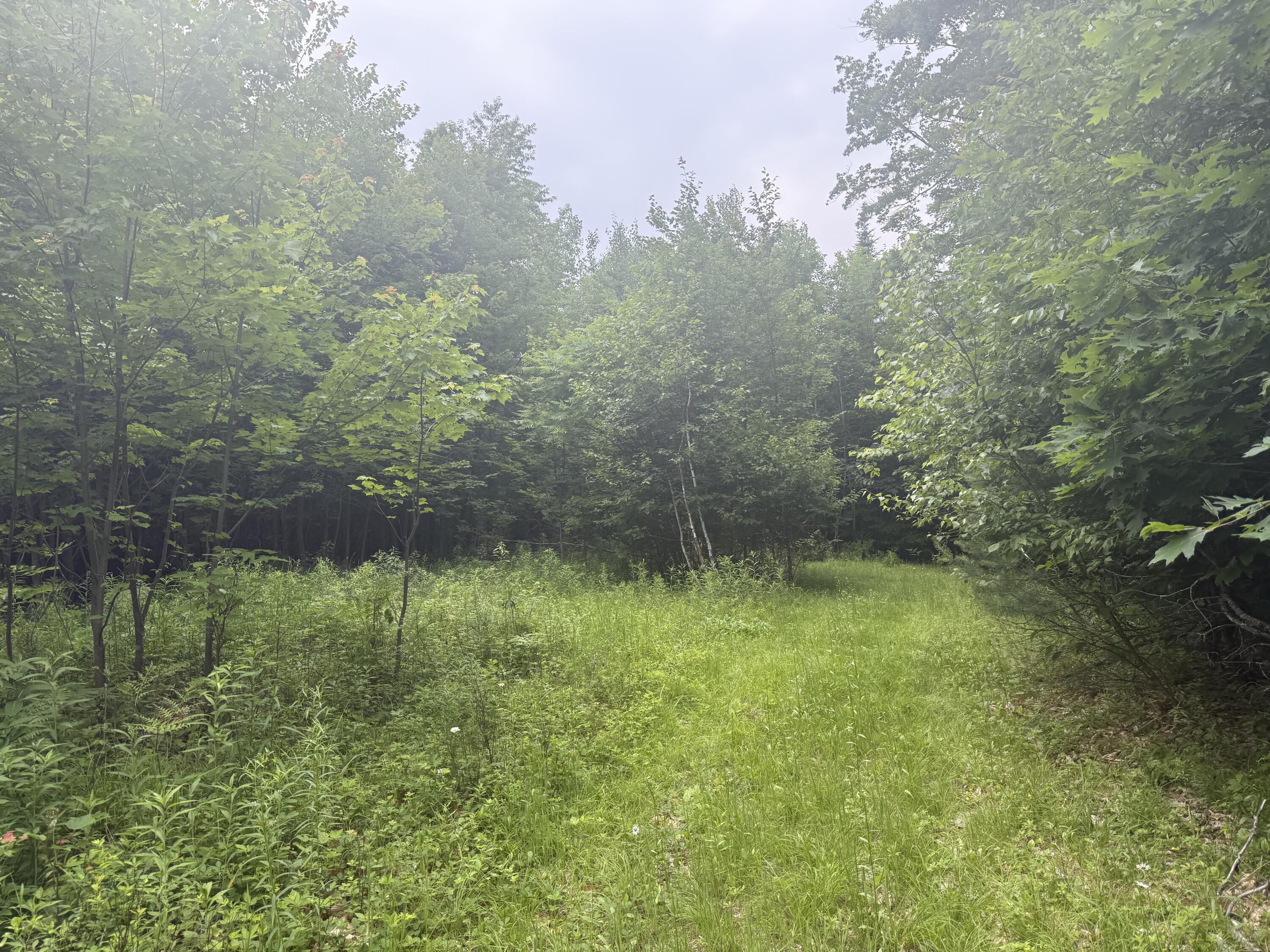 R1 L12 Hovey Road Property Photo 4