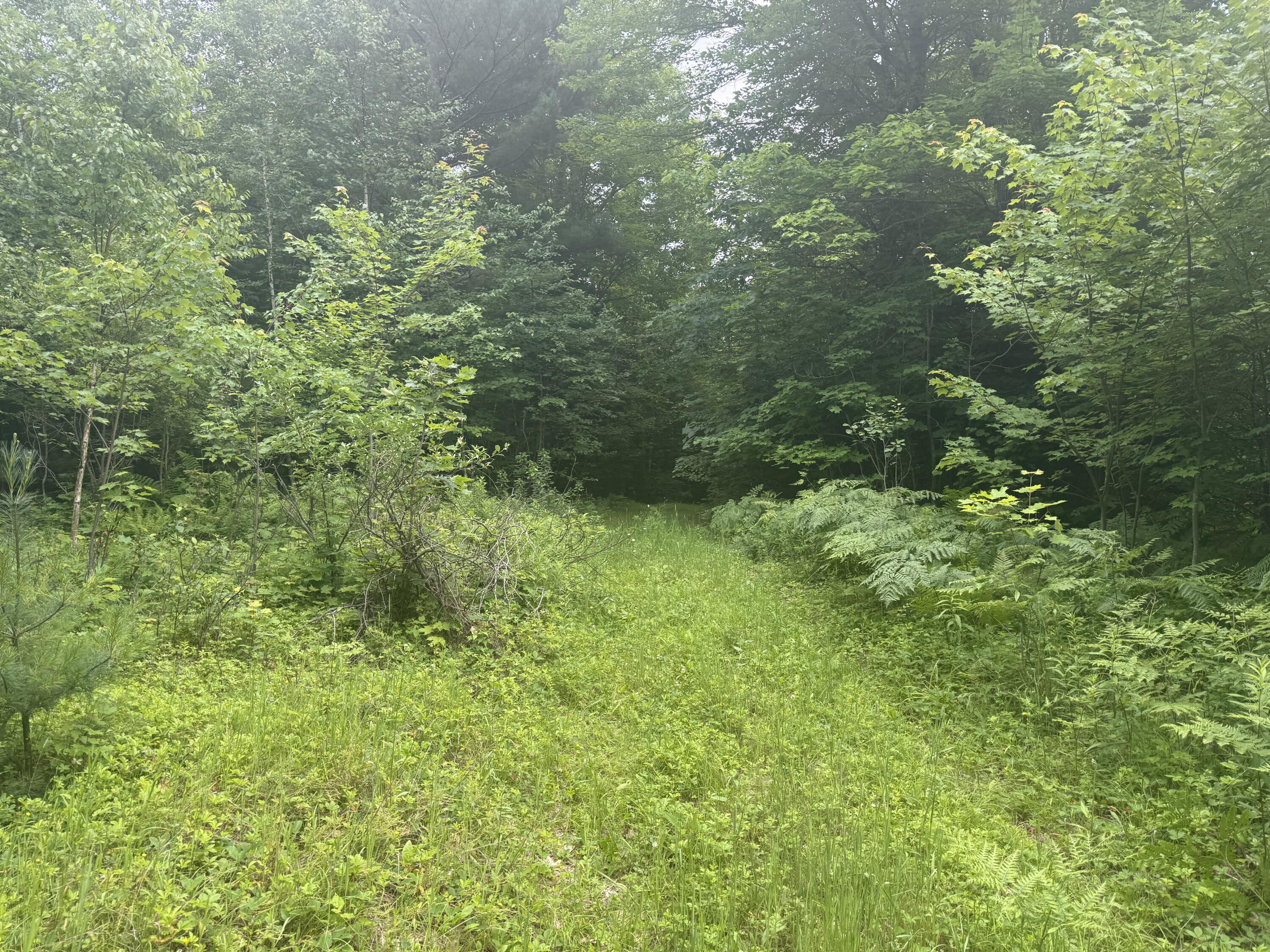 R1 L12 Hovey Road Property Photo 6