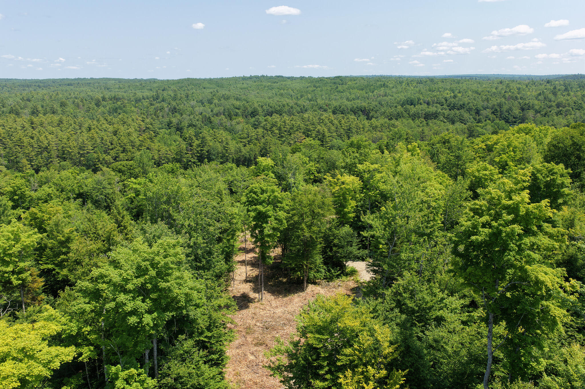 50 Wilderness Park Road Property Photo 4