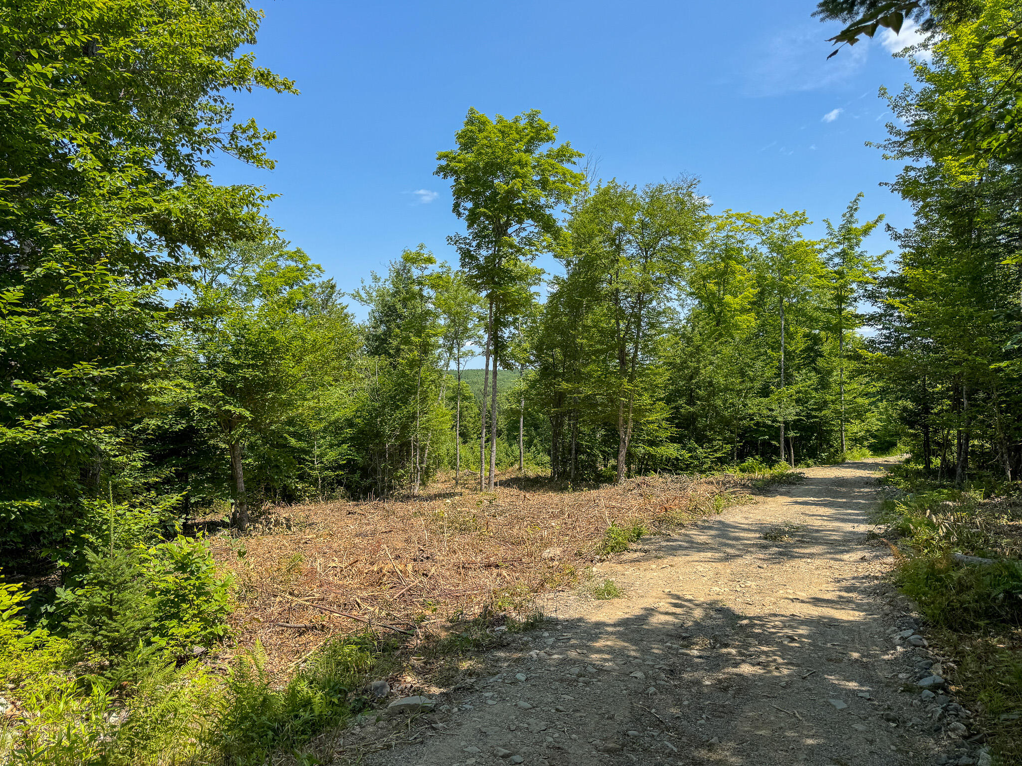 50 Wilderness Park Road Property Photo 13