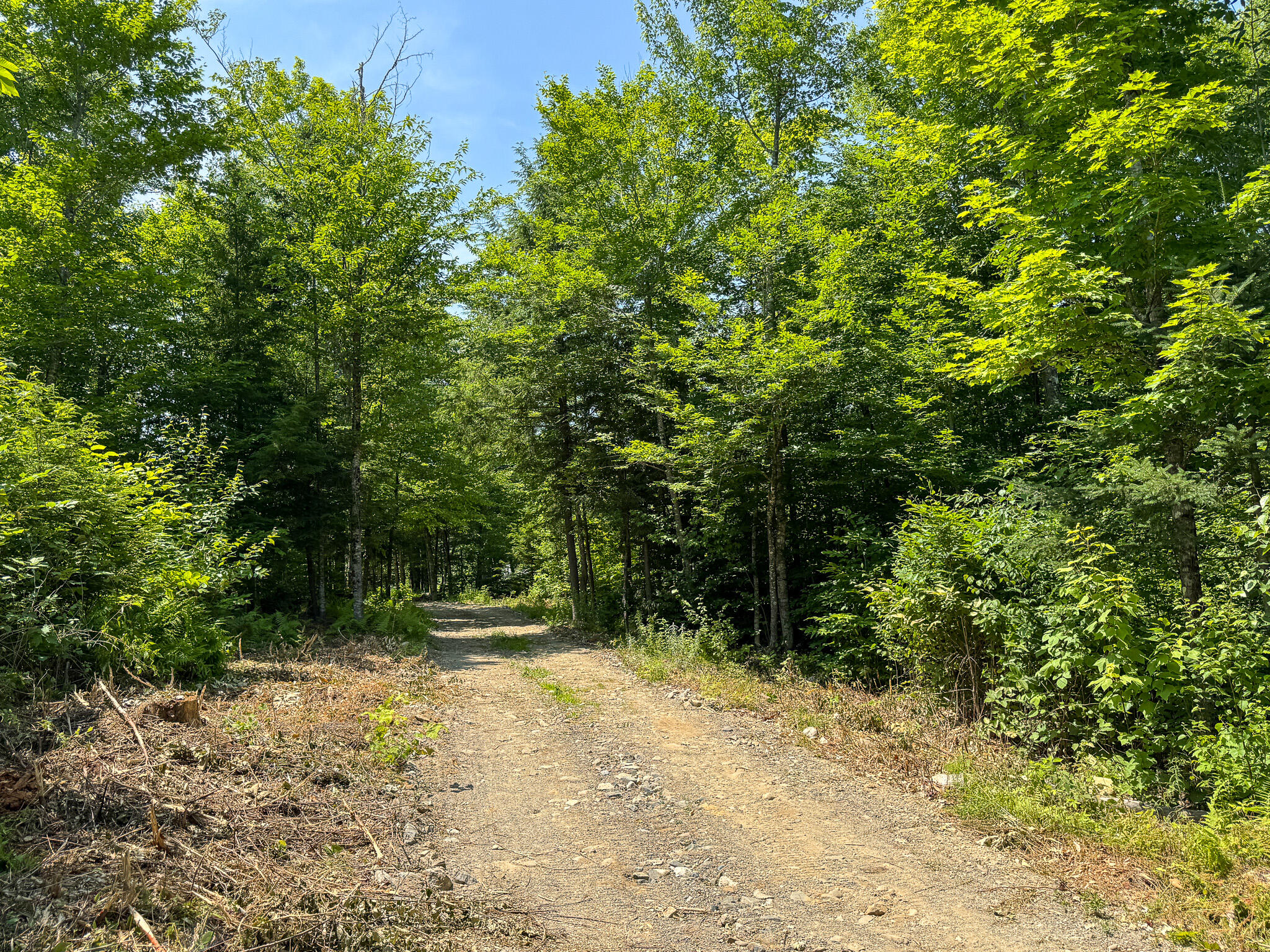 50 Wilderness Park Road Property Photo 14