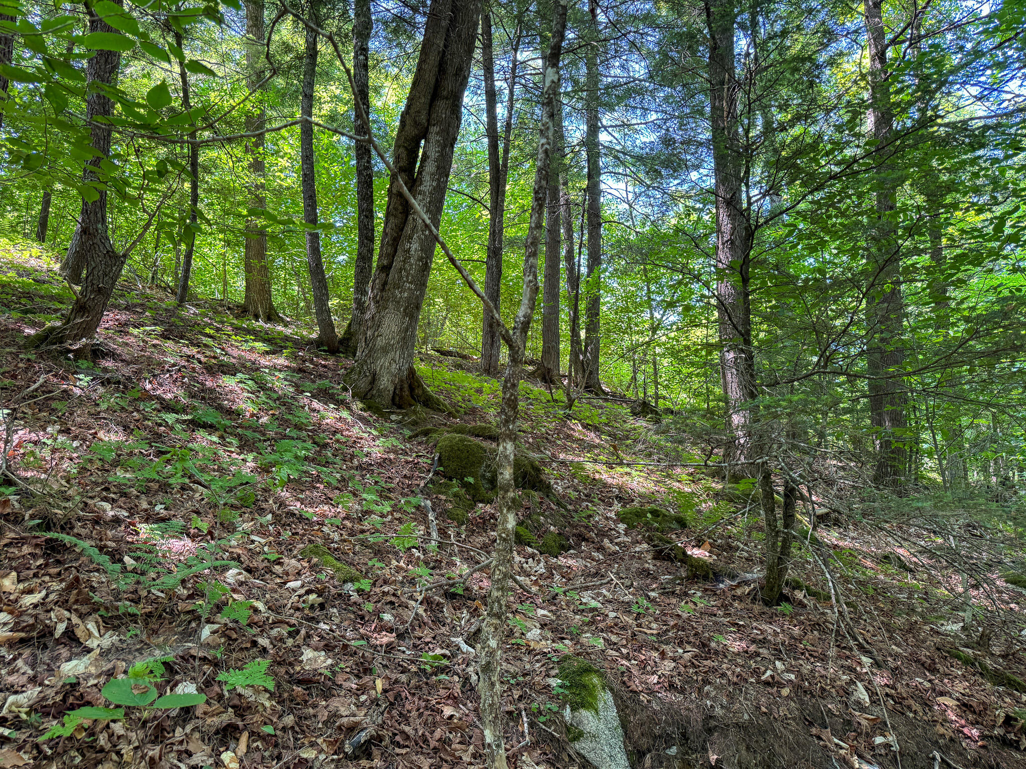 50 Wilderness Park Road Property Photo 18