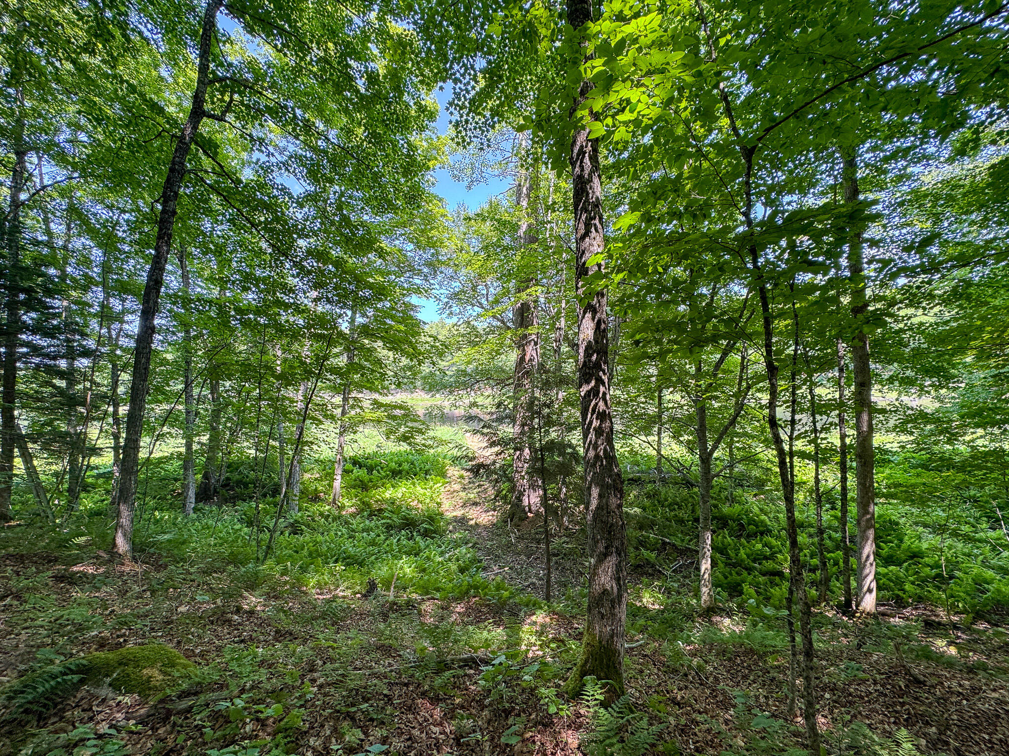50 Wilderness Park Road Property Photo 26