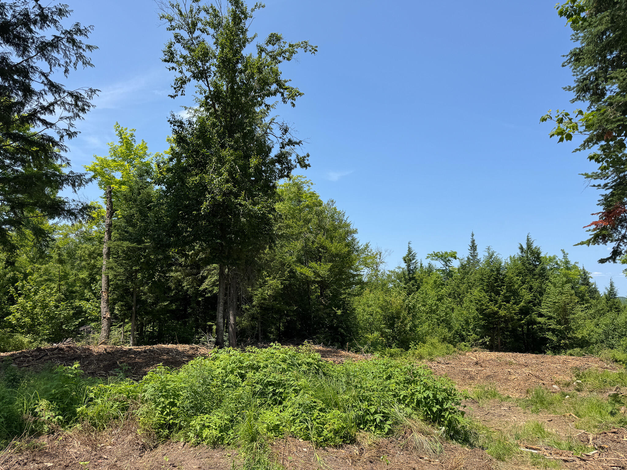 50 Wilderness Park Road Property Photo 28