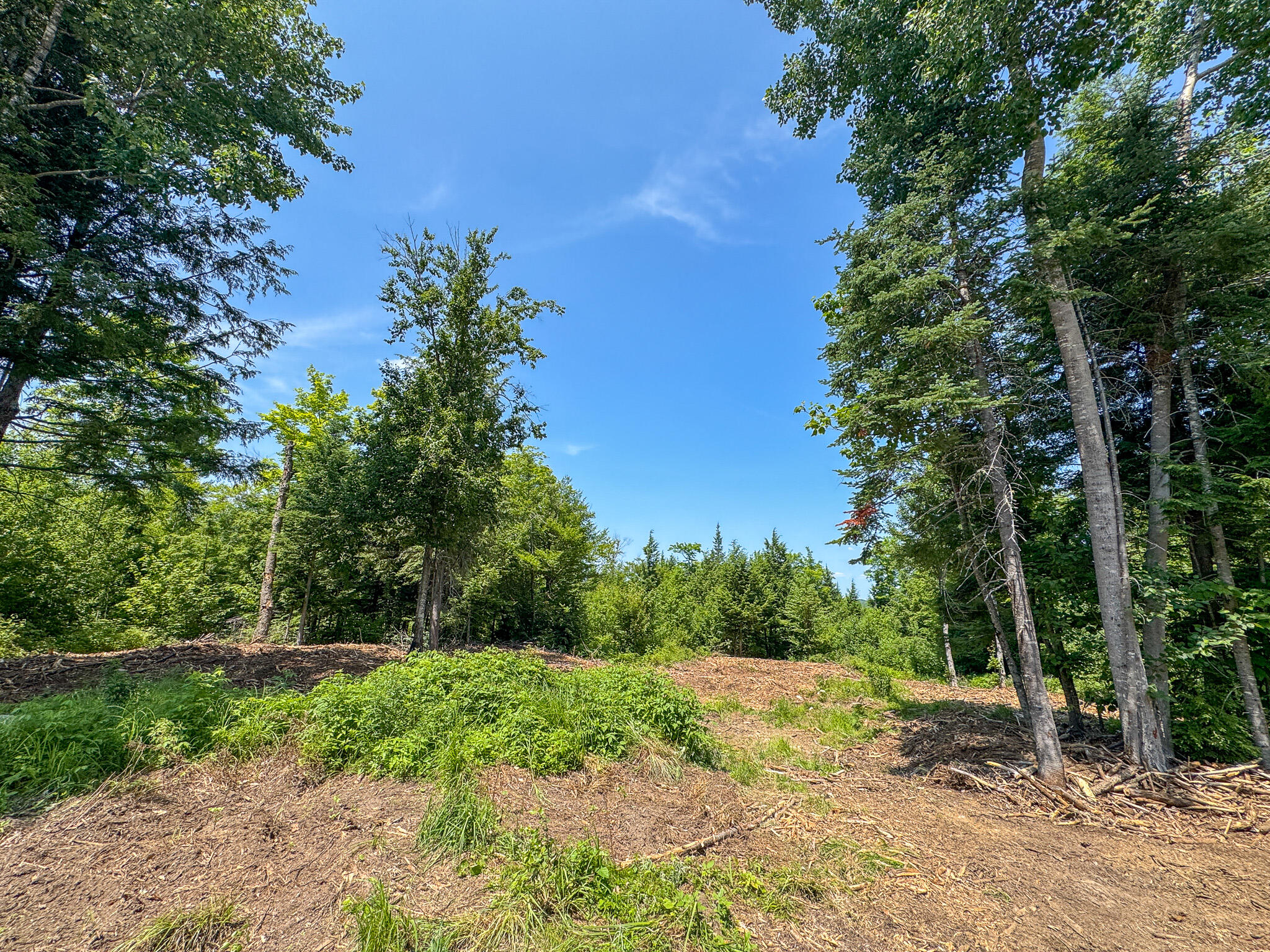 50 Wilderness Park Road Property Photo 29