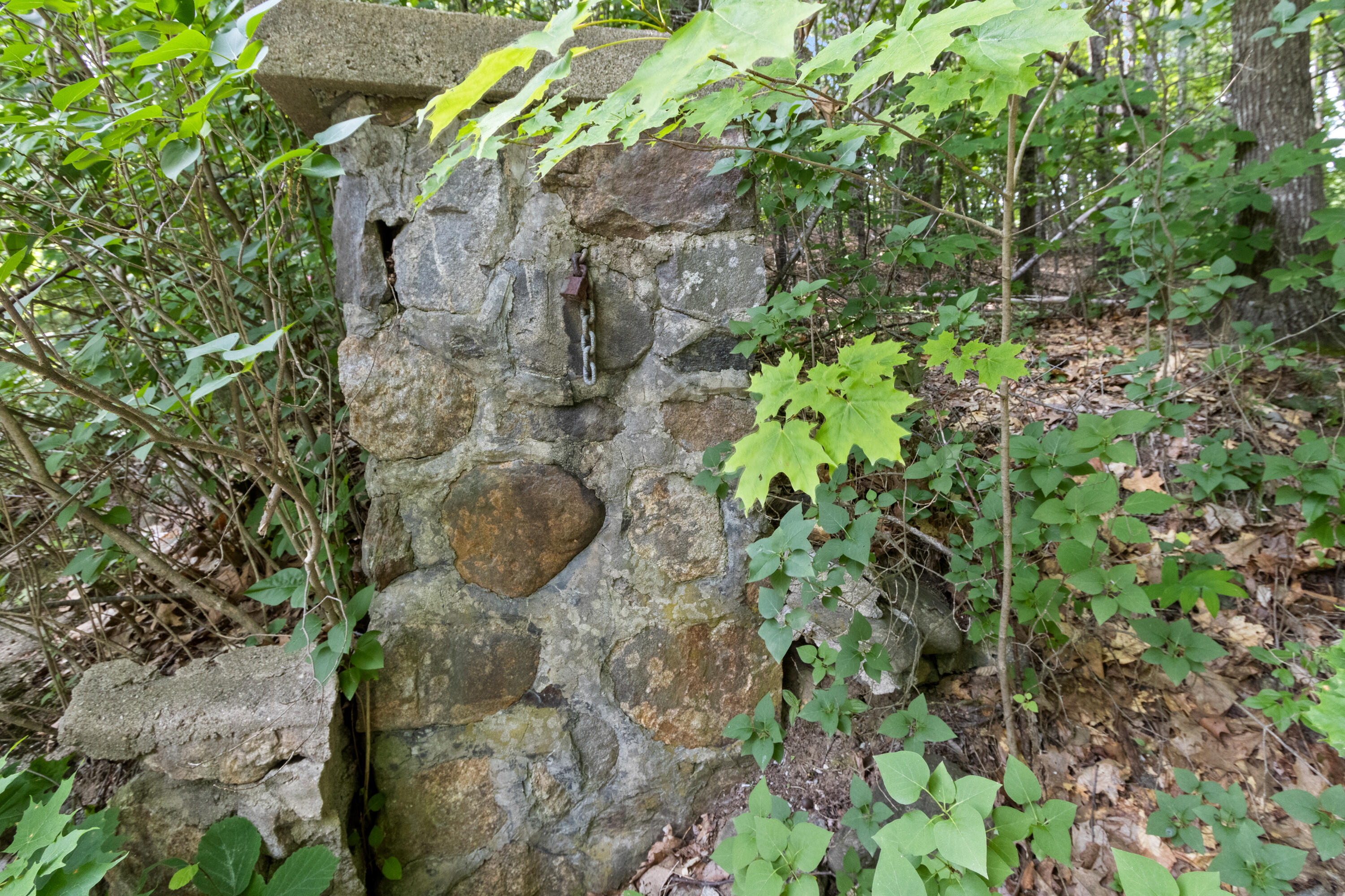 38 Sampson Lane Property Photo 43