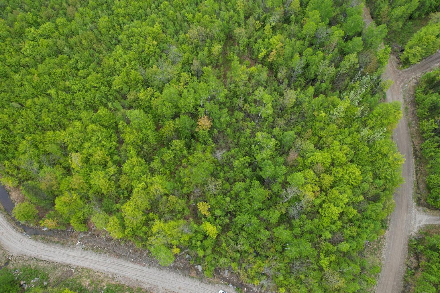 Lot 7 Hollis Drive Property Photo 1