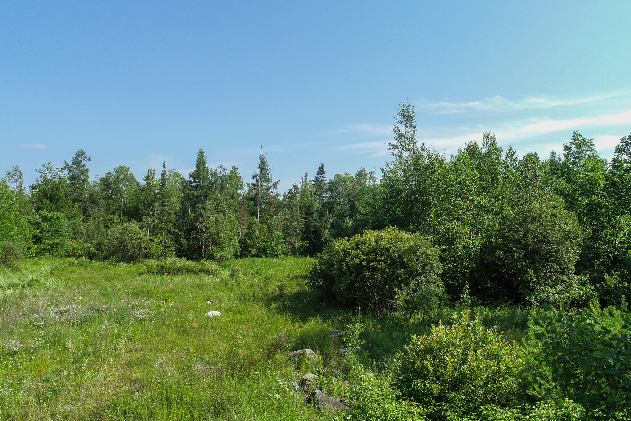 485 Hudson Road Property Photo 14