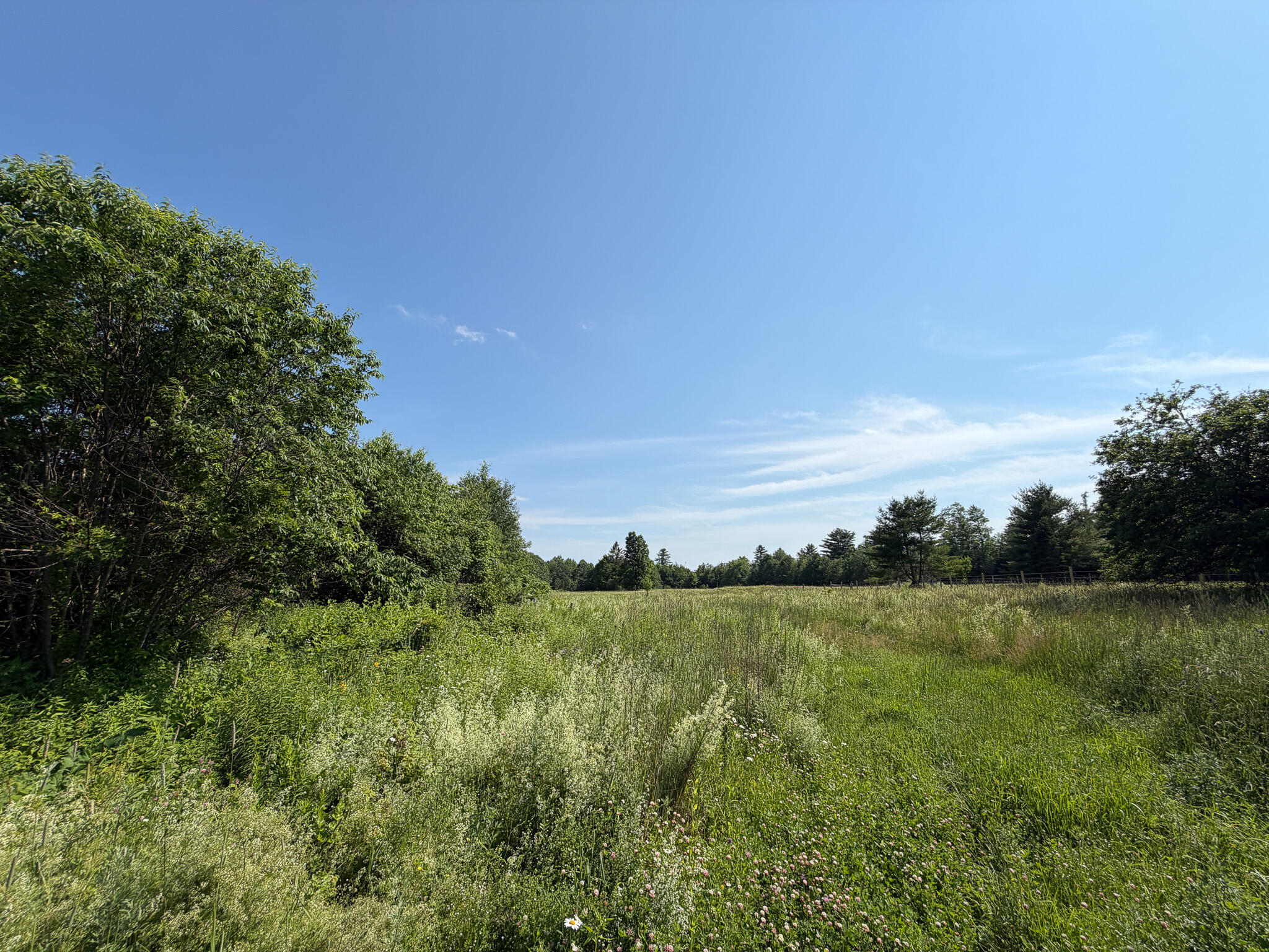 485 Hudson Road Property Photo 20