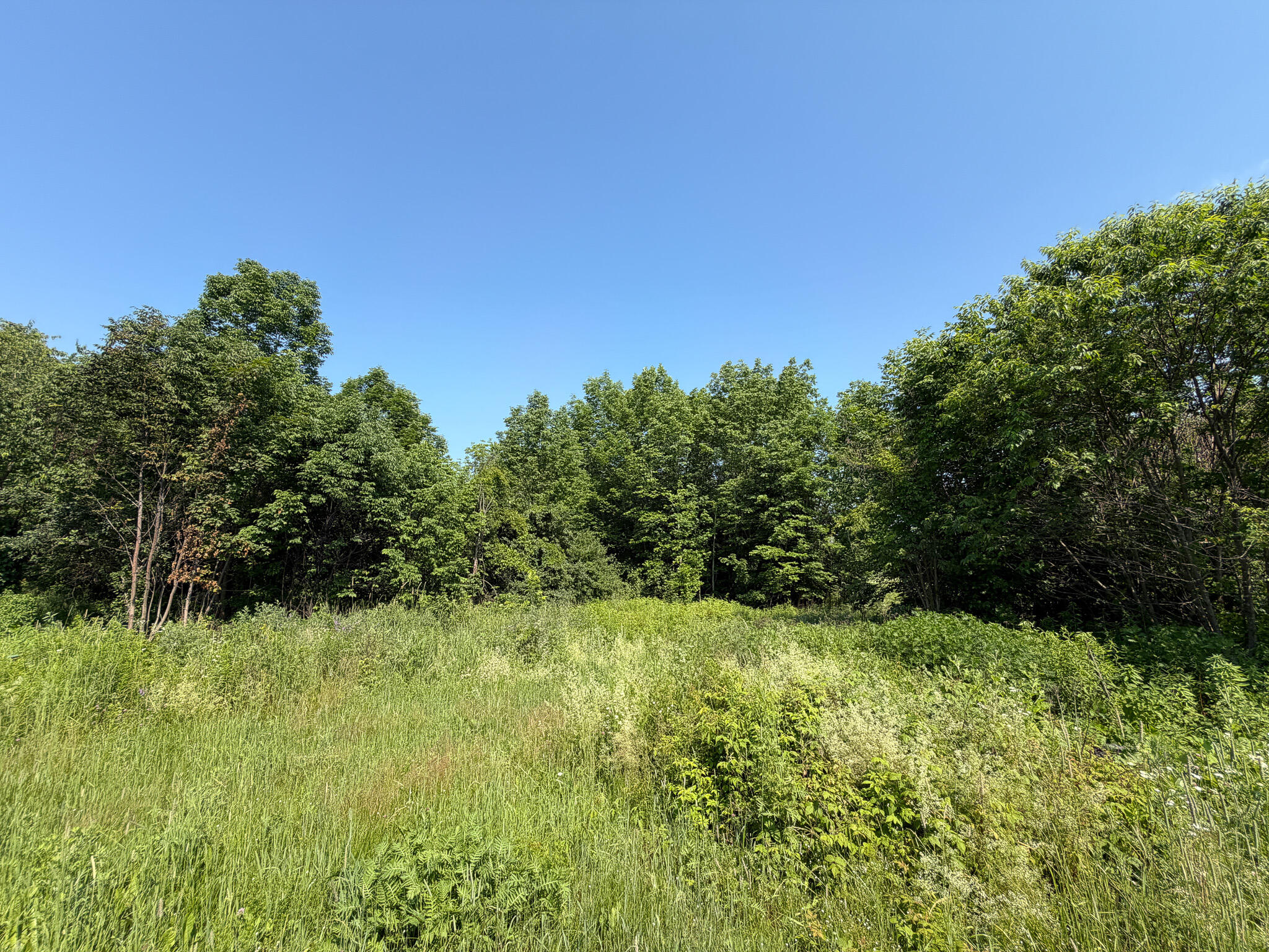 485 Hudson Road Property Photo 21