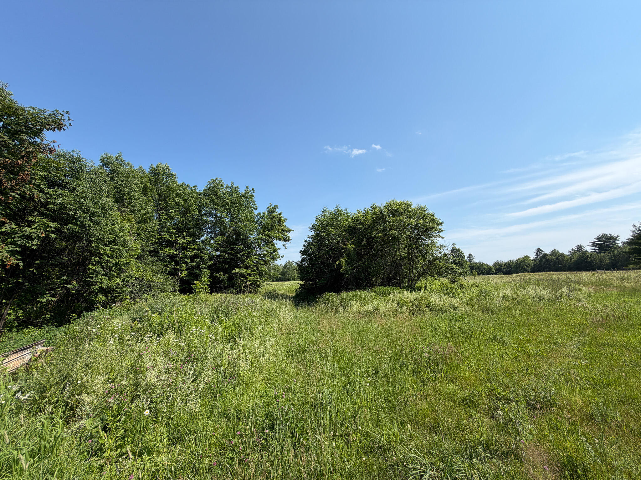 485 Hudson Road Property Photo 22