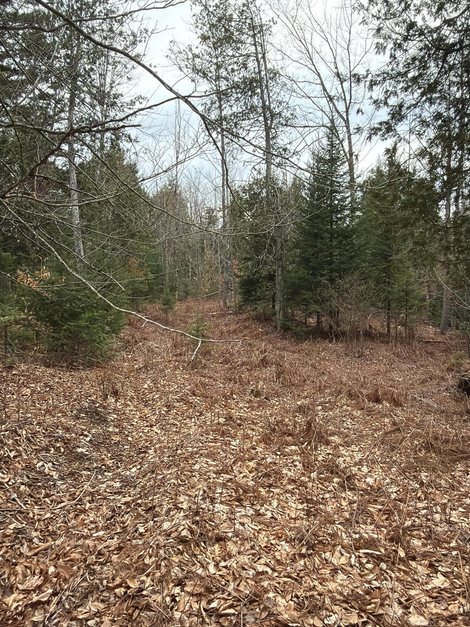 485 Hudson Road Property Photo 38