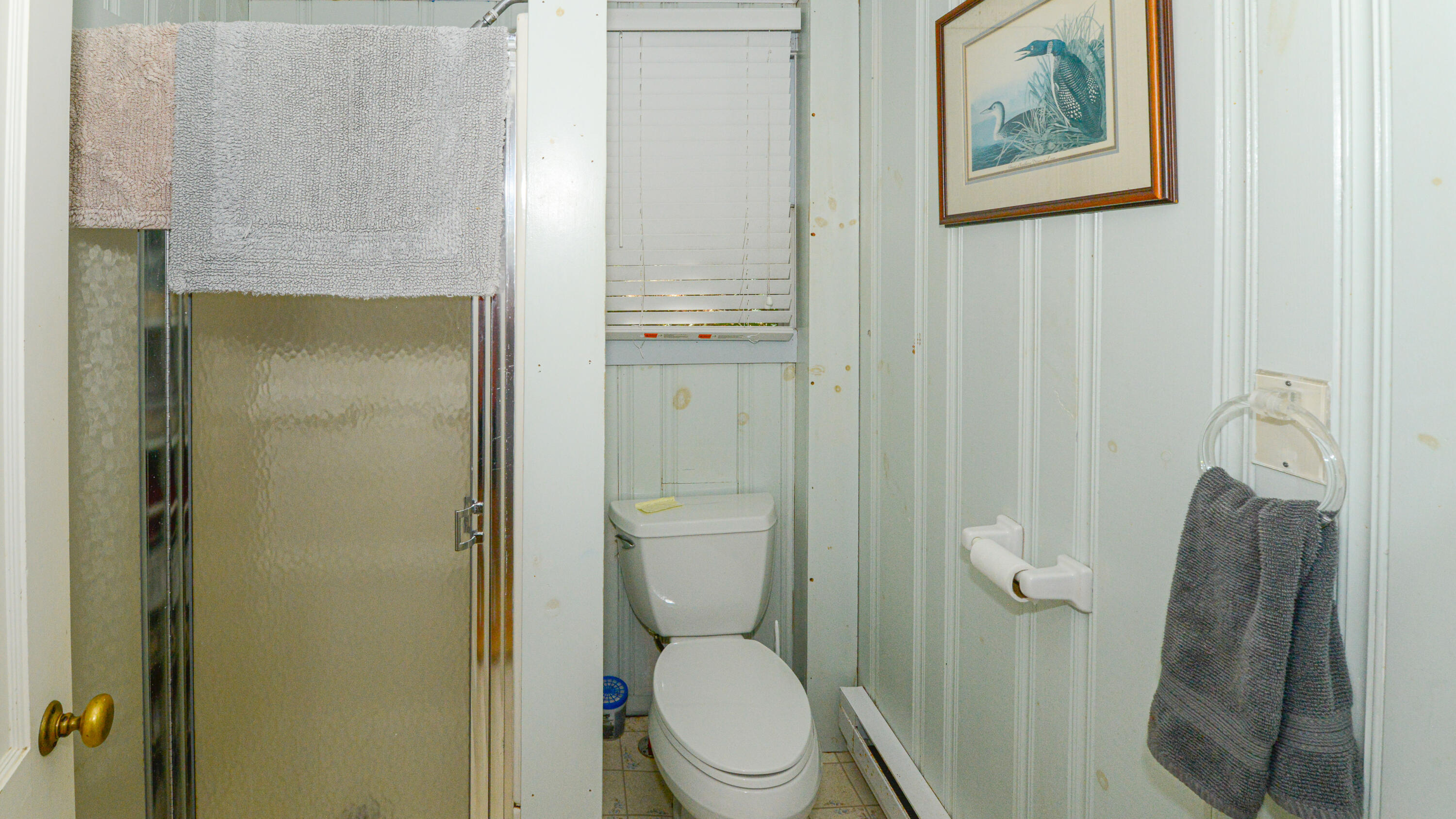 39 Wells Road Property Photo 48