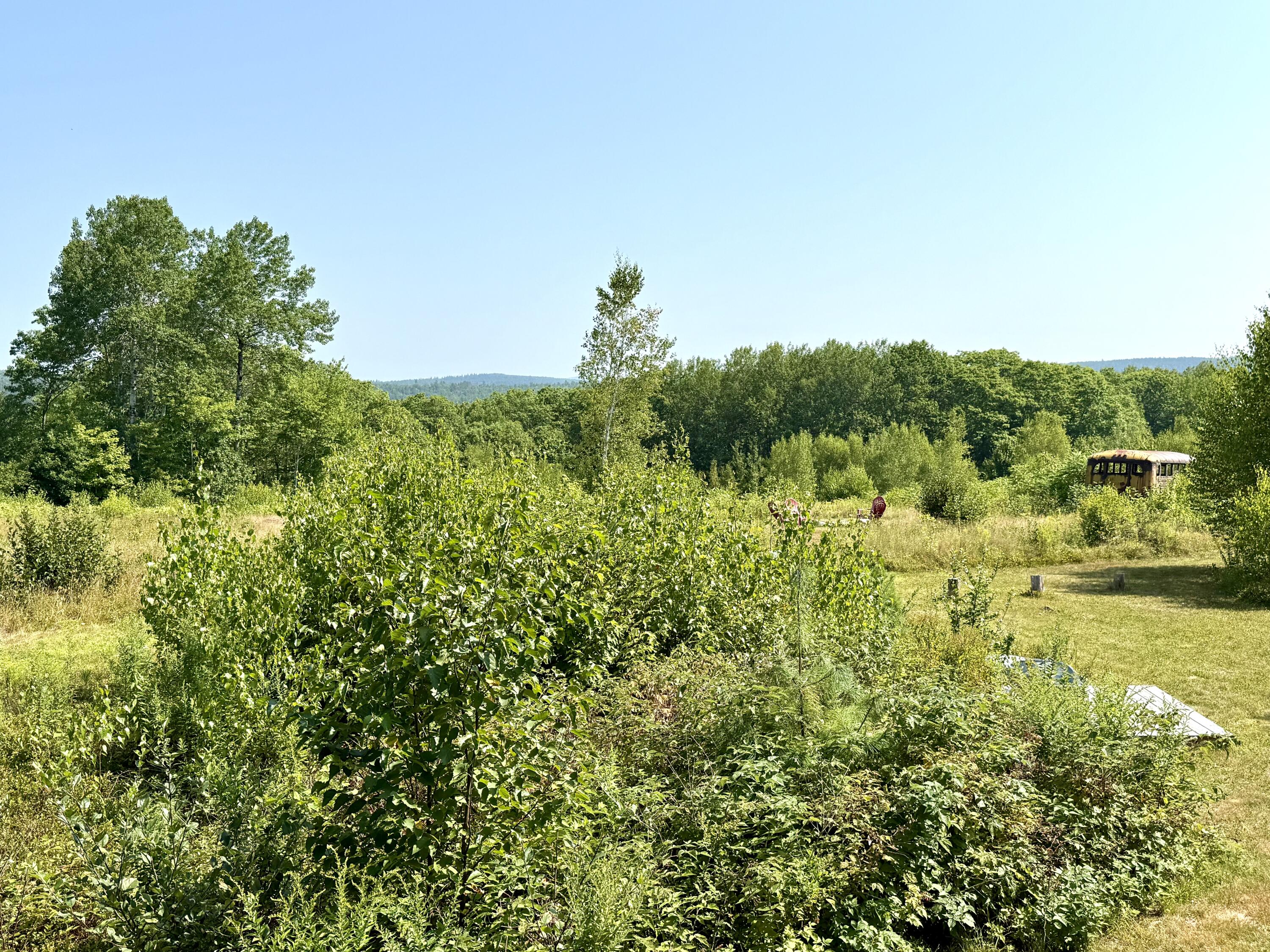 64 Dam Road Property Photo 24