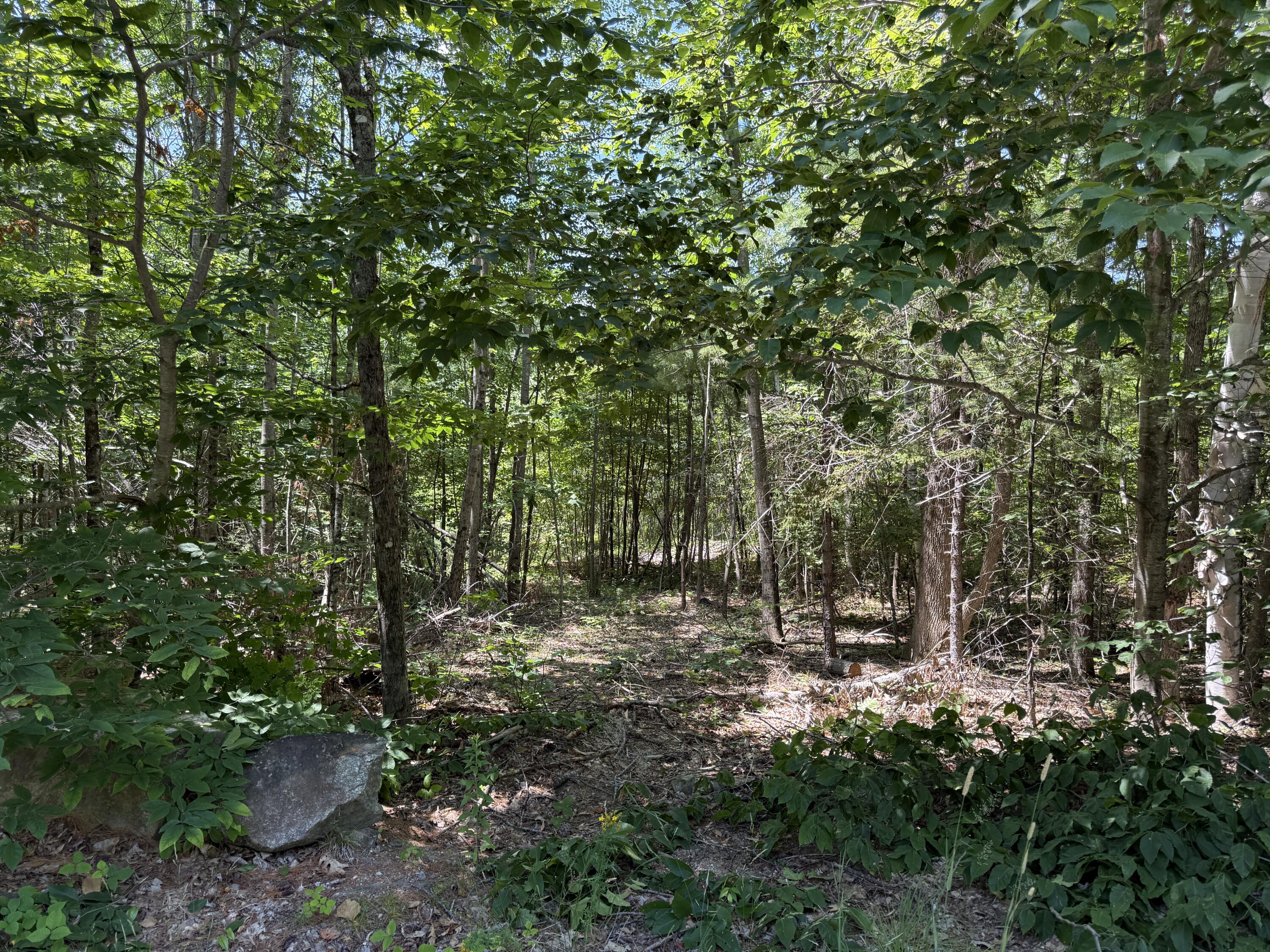 #00 Maplewood Road Property Photo 4