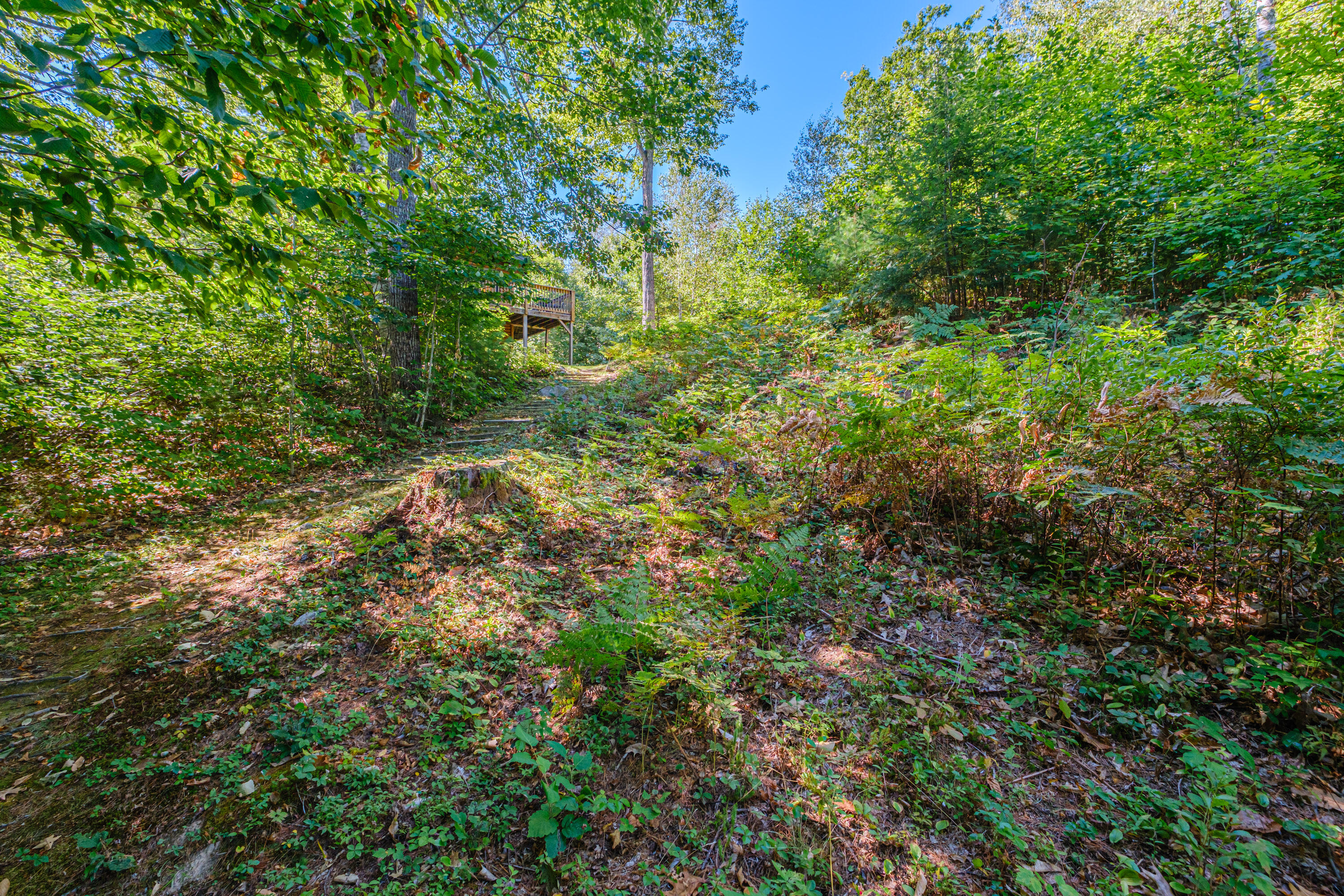 13 & 16 Joyal Hill Lane Property Photo 87