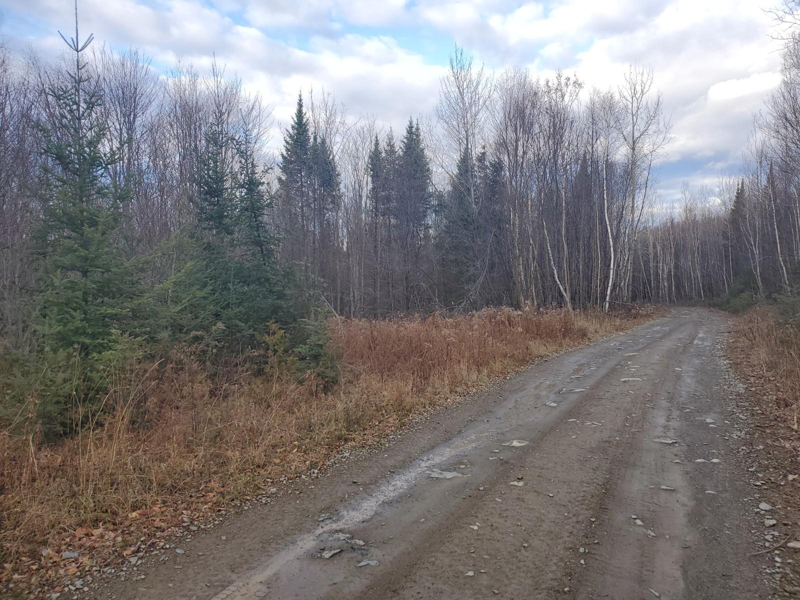 Lot 4 Rocky Hill Road Property Photo 6