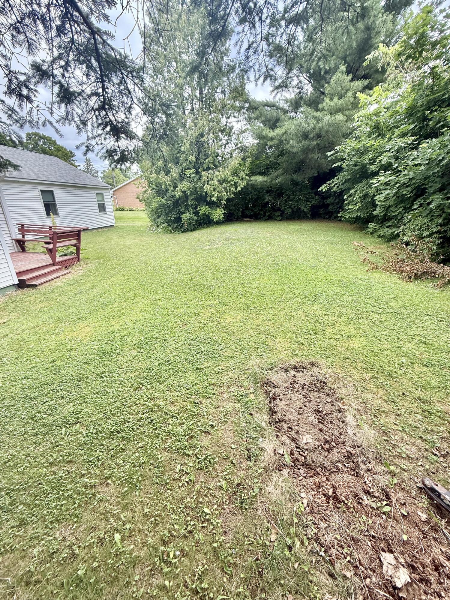 71 Hardy Street Property Photo 11