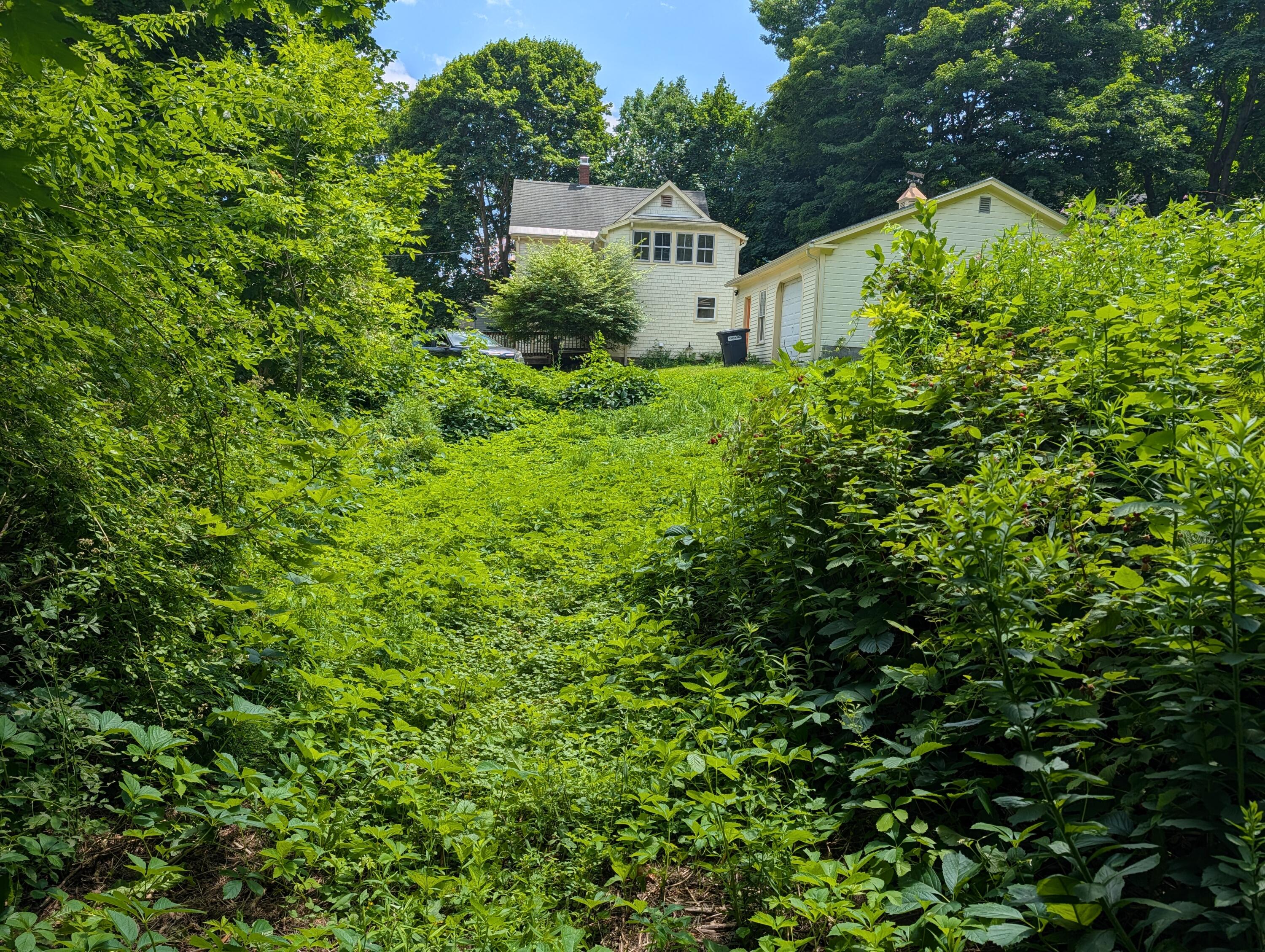 25 Charles Street Property Photo 42