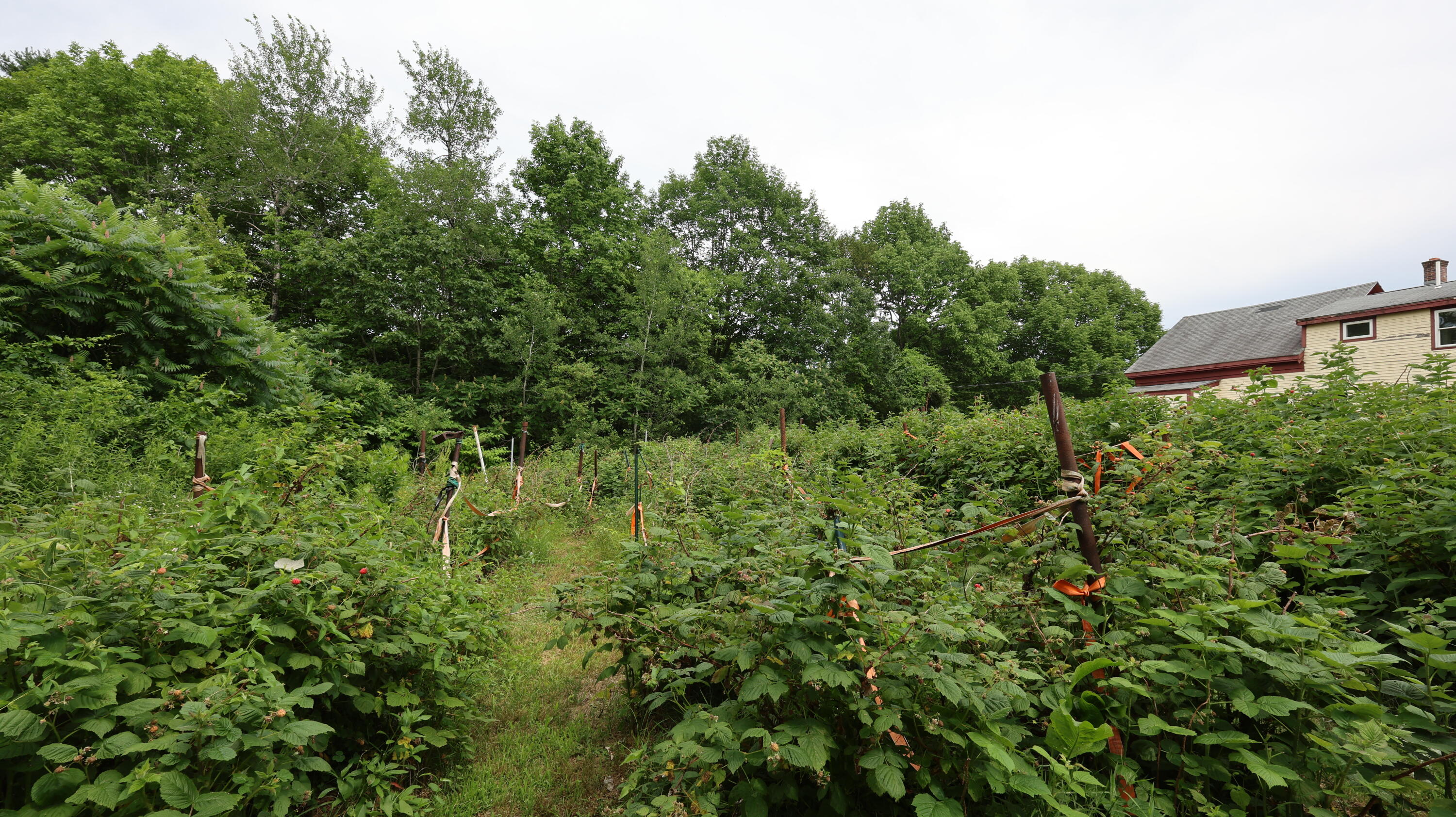 1146 Post Road Property Photo 12