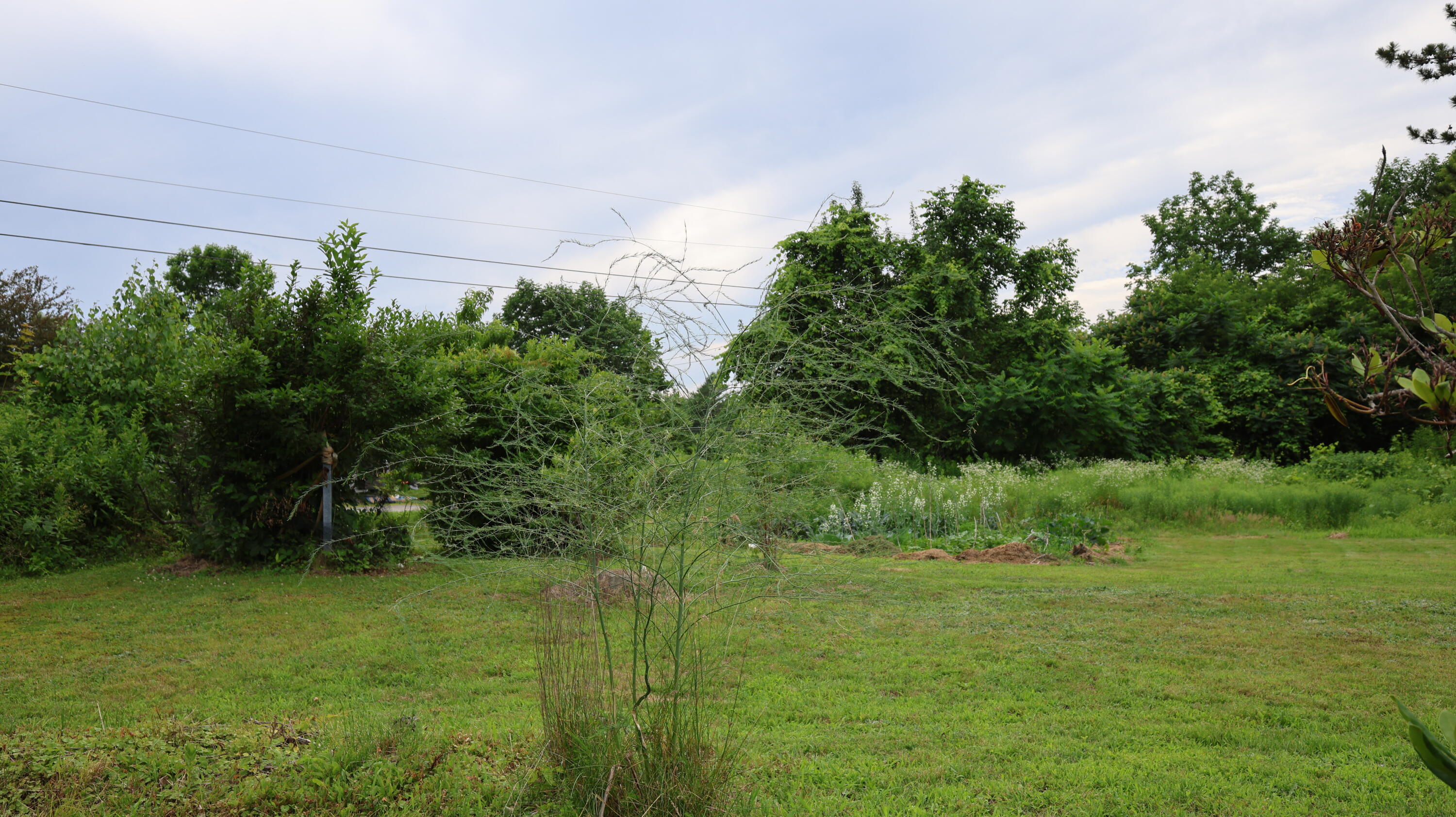 1146 Post Road Property Photo 13
