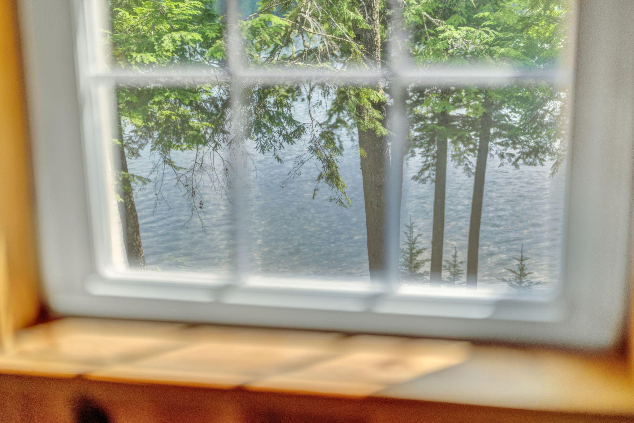 411 Tim's Cove Road Property Photo 45