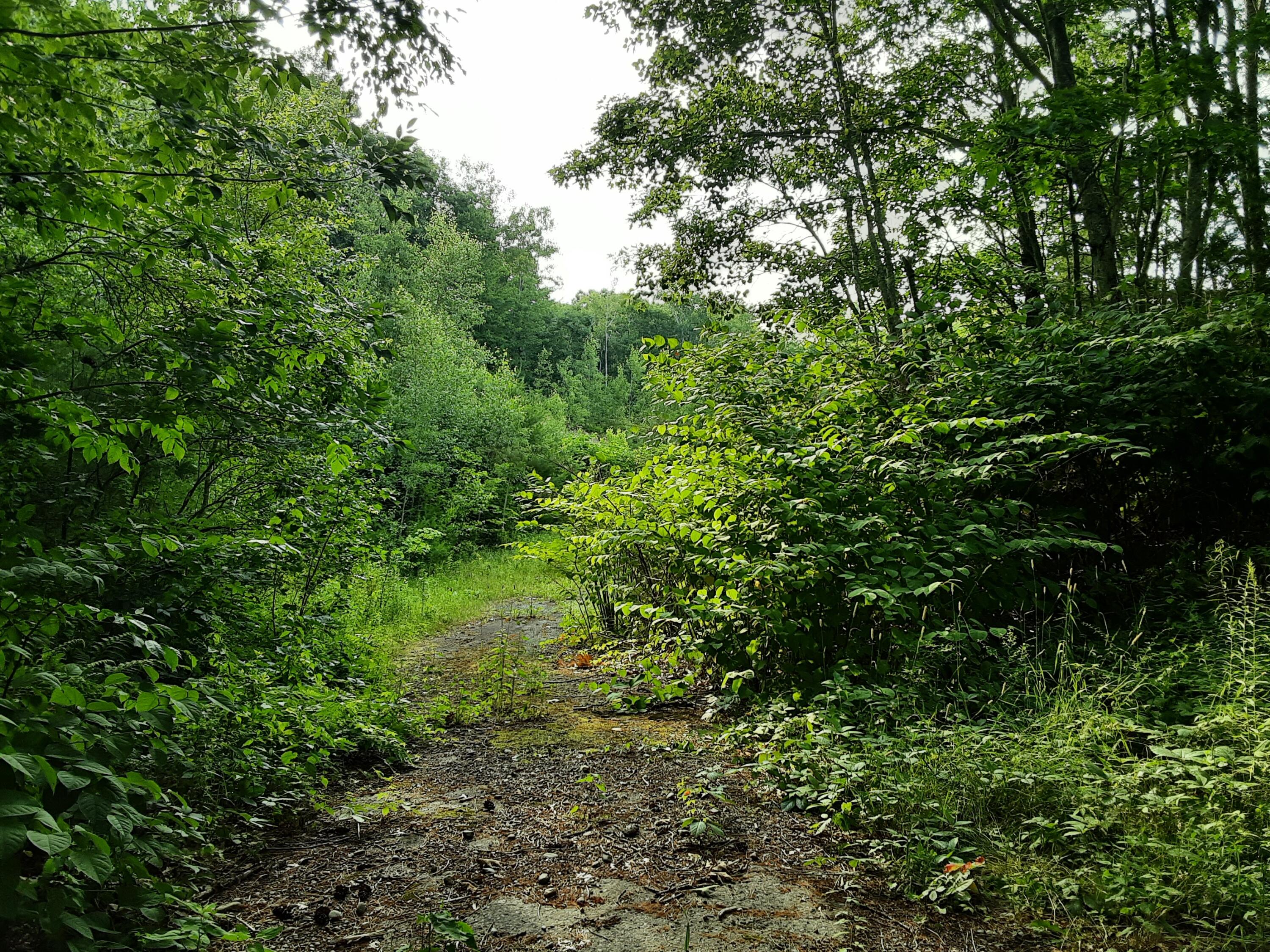 Lot 2 Ridge Road Property Photo 1