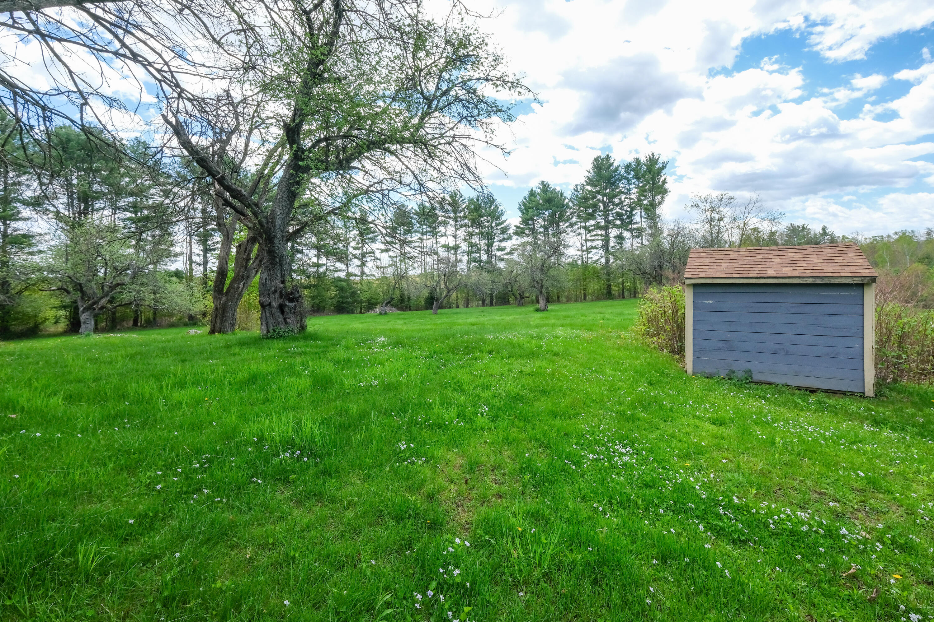109 Sahagian Road Property Photo 101