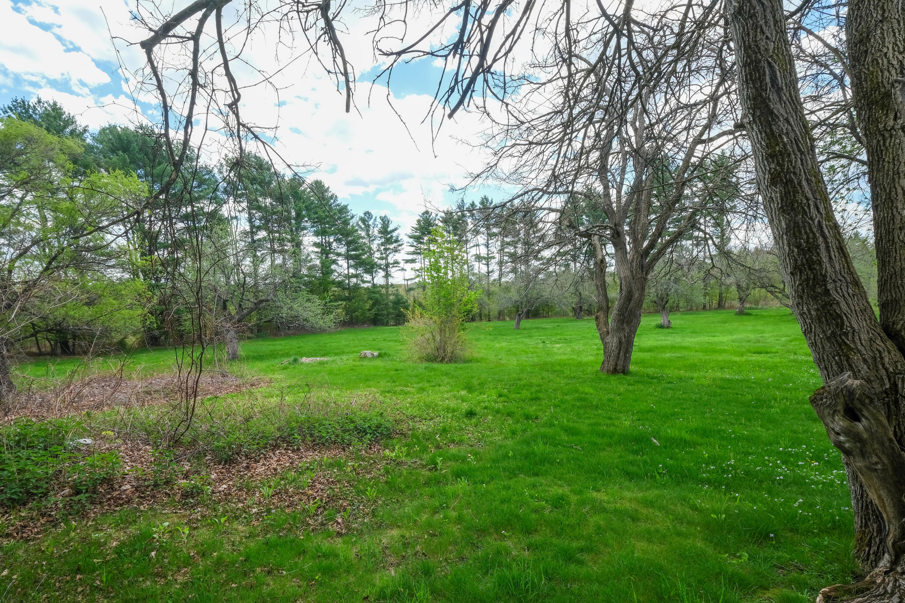 109 Sahagian Road Property Photo 104