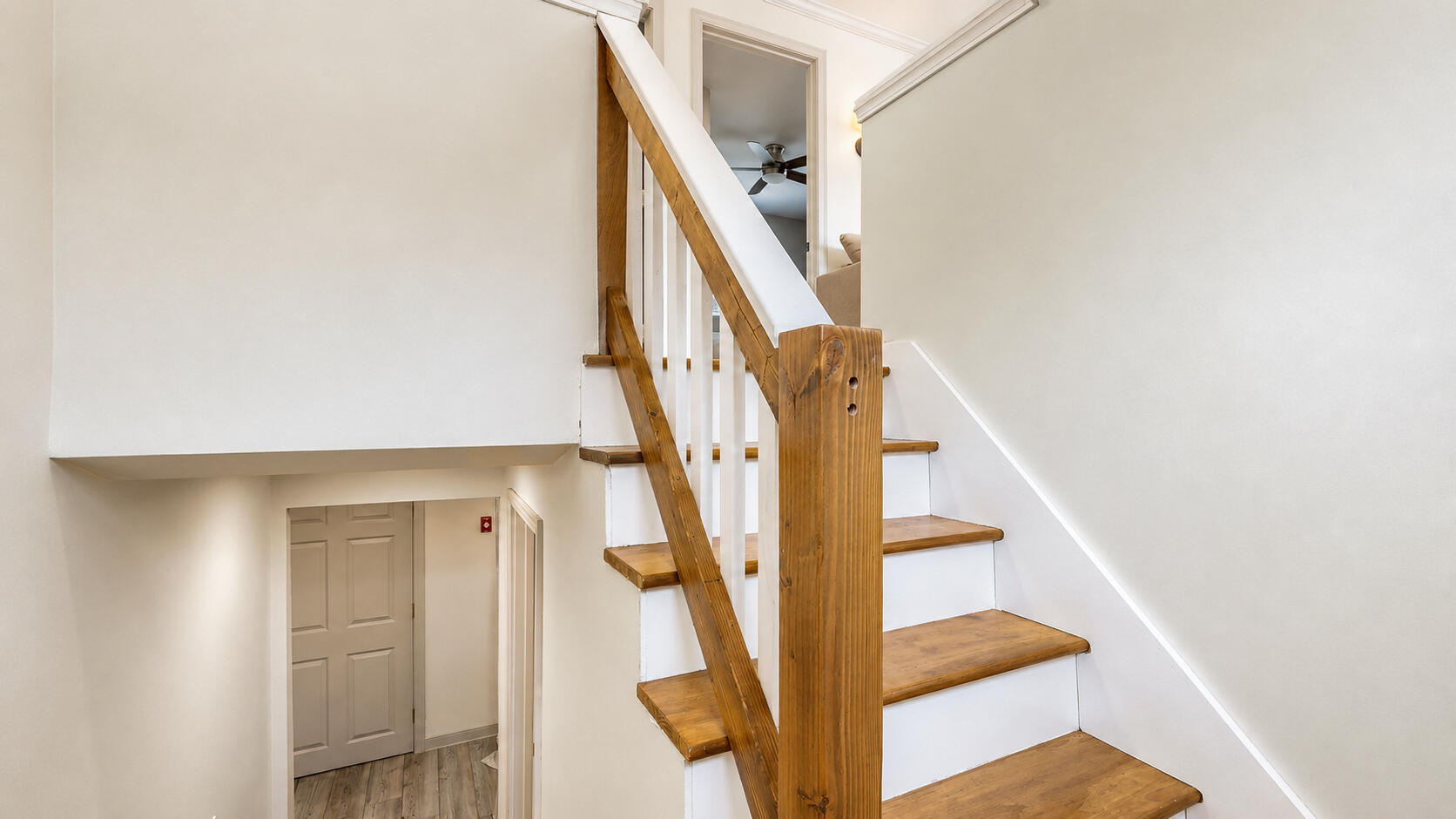 3 Southgate Avenue Property Photo 25