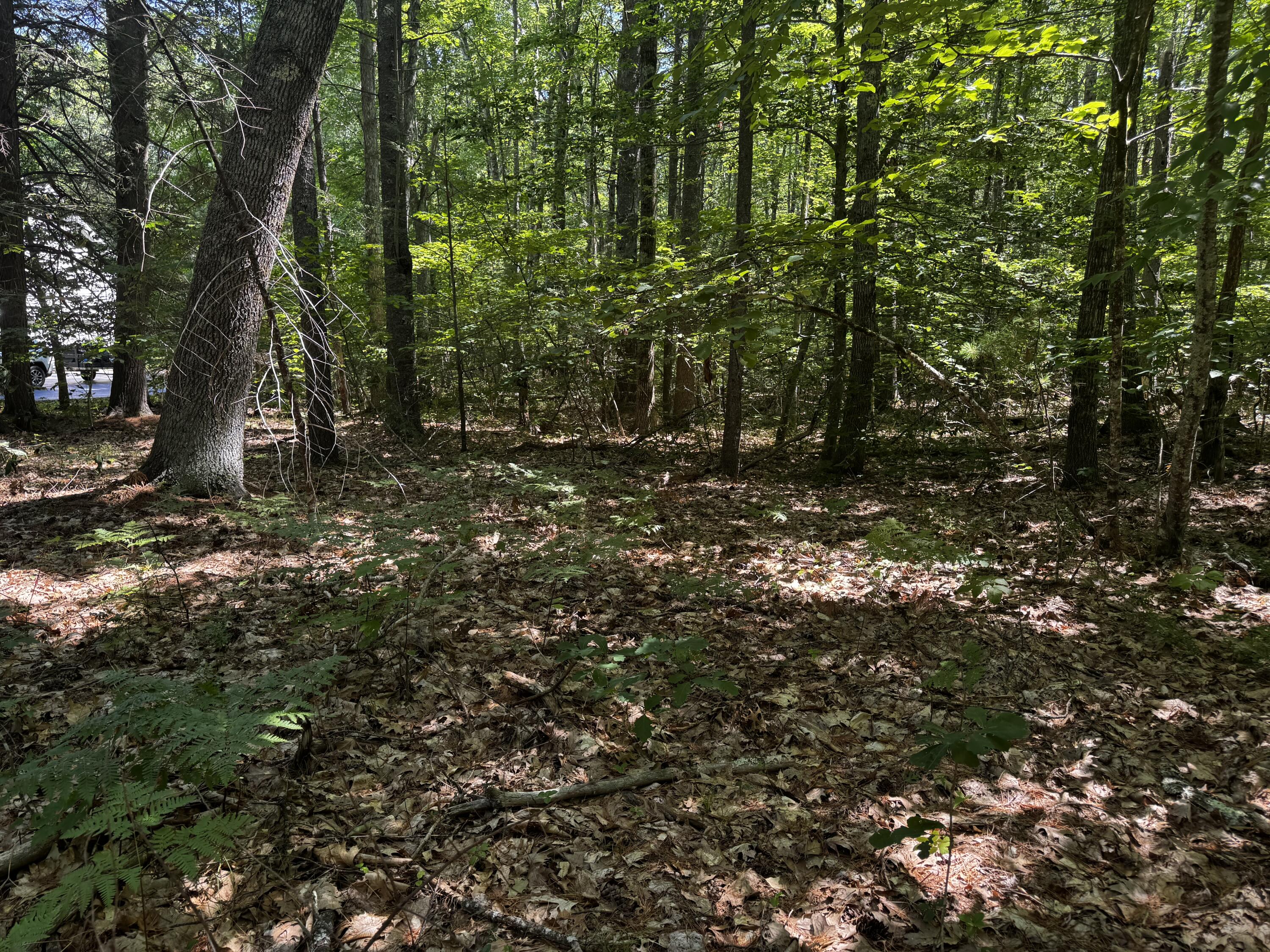 64 Natanis Ridge Circle Property Photo 2