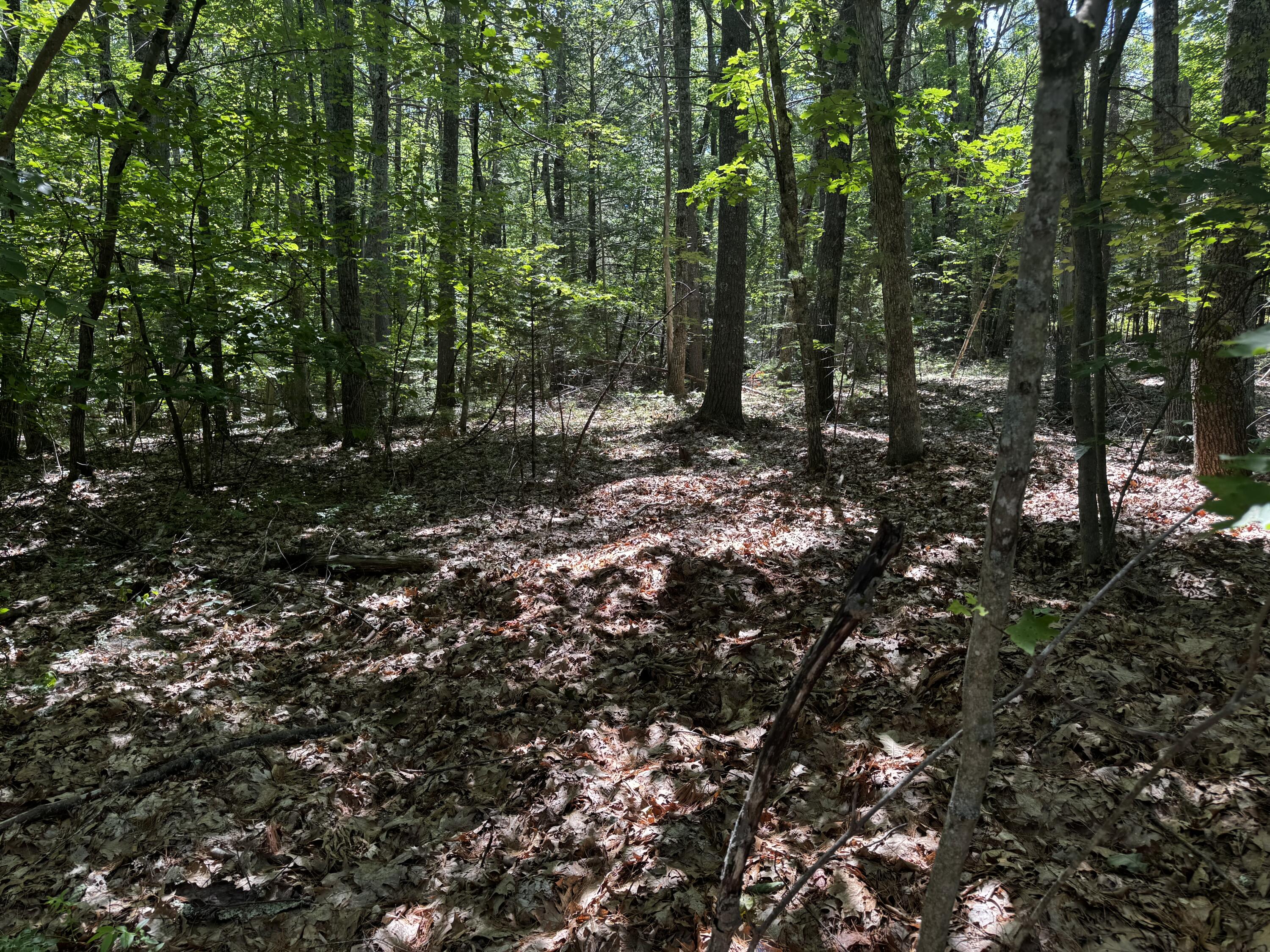 64 Natanis Ridge Circle Property Photo 3