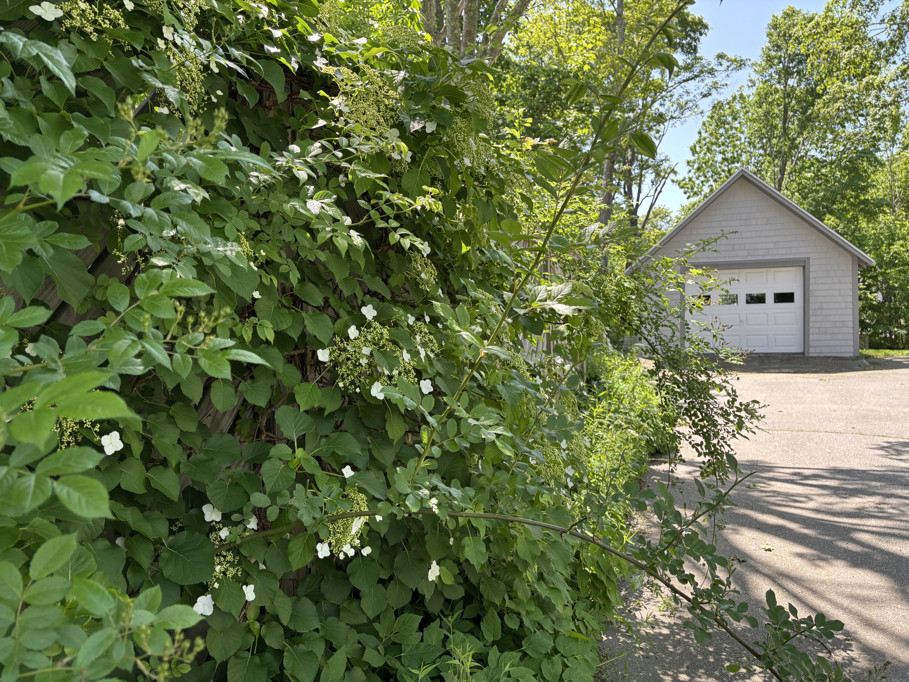 8 Sterling Street Property Photo 52