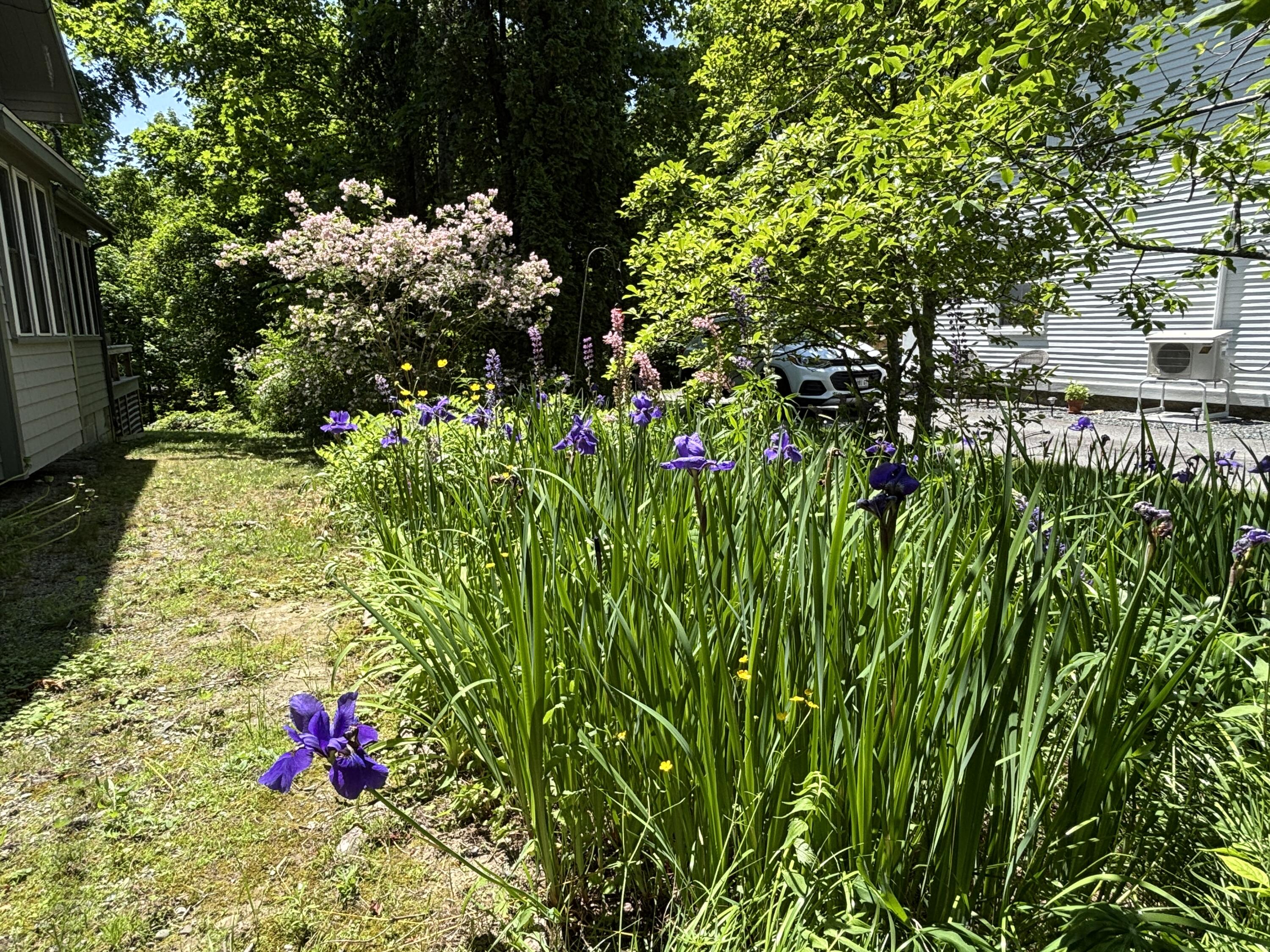 8 Sterling Street Property Photo 60