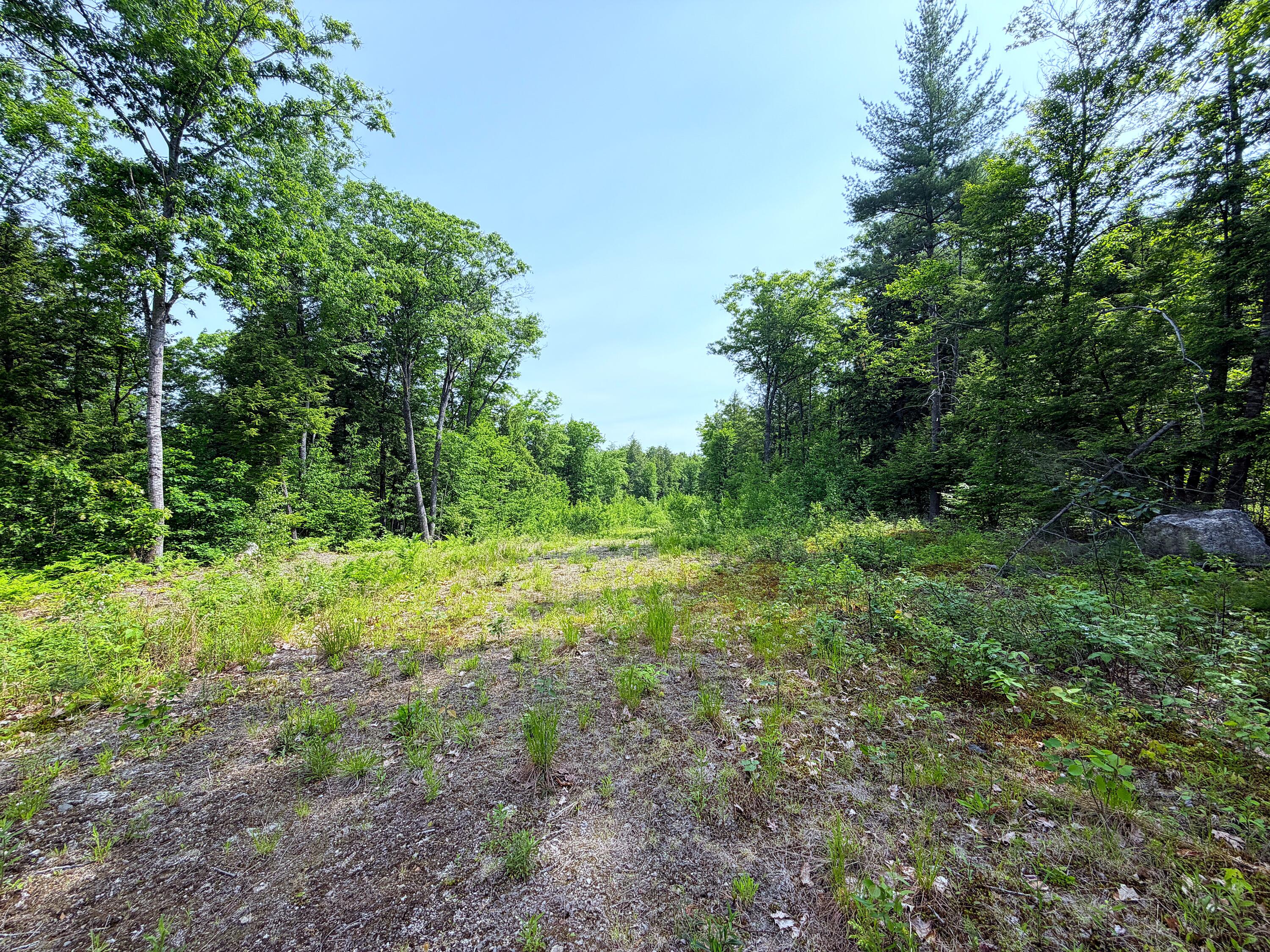 00 North Road Lot #3 Property Photo 14