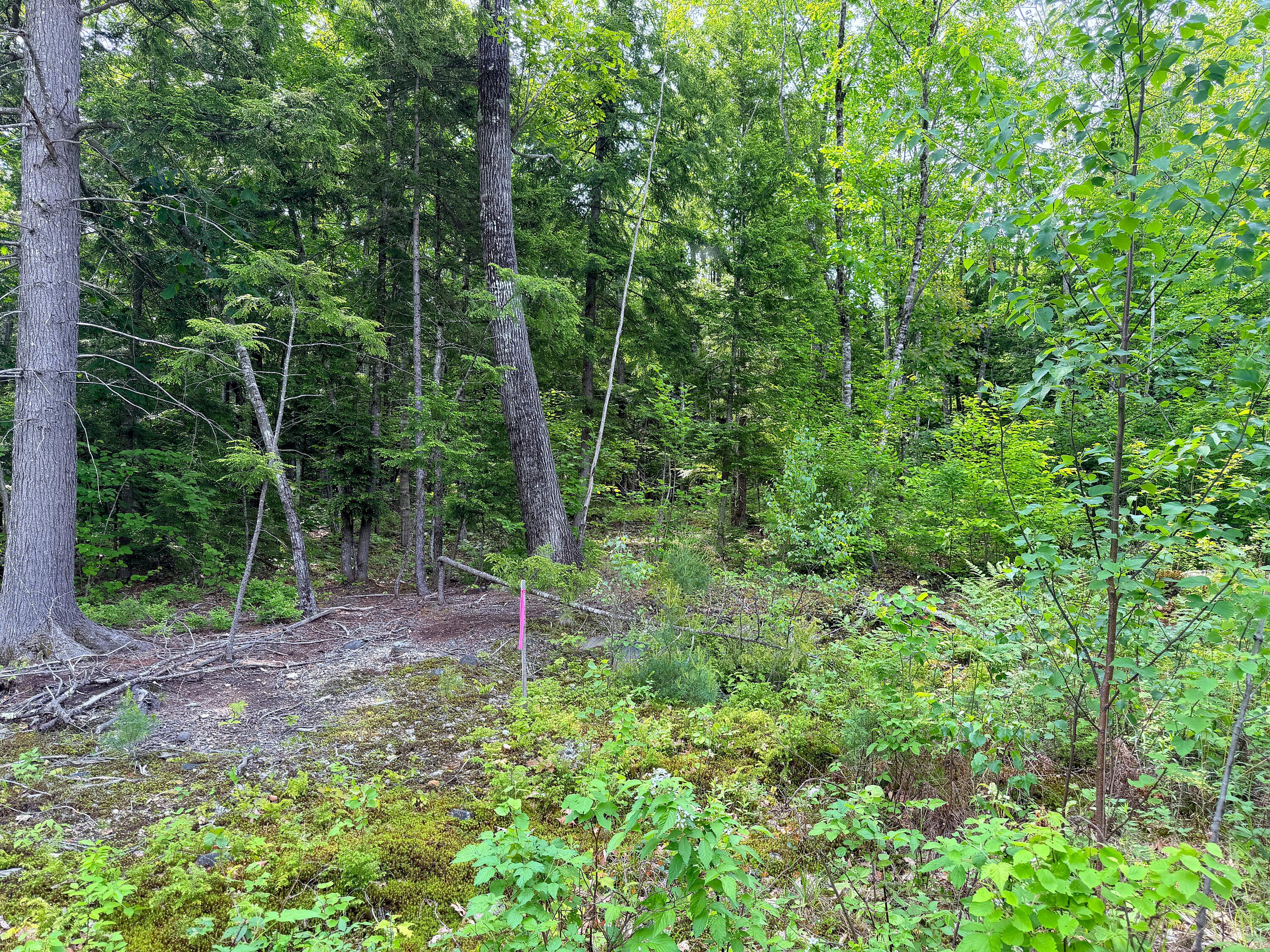 00 North Road Lot #3 Property Photo 15