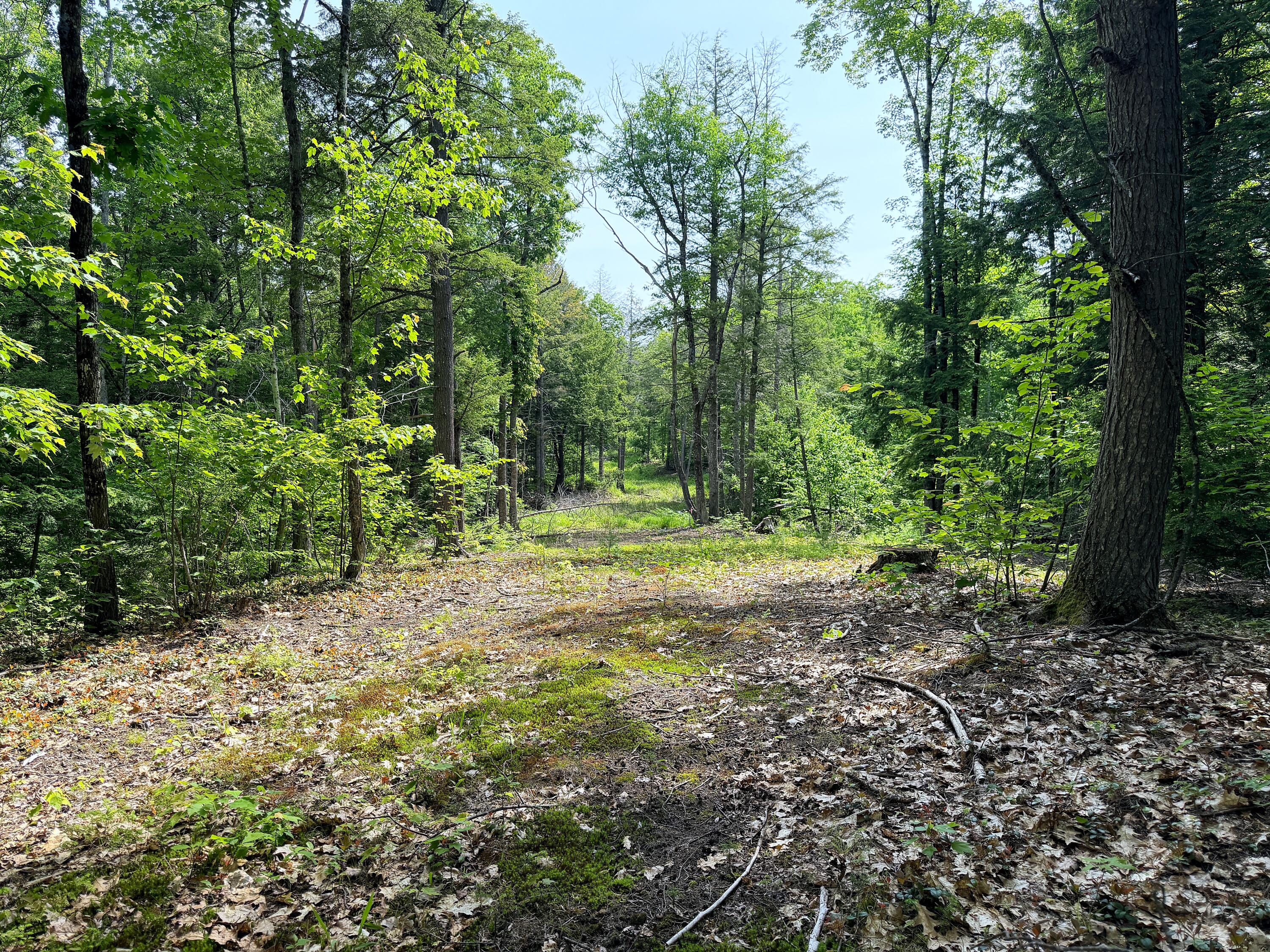 00 North Road Lot #3 Property Photo 17