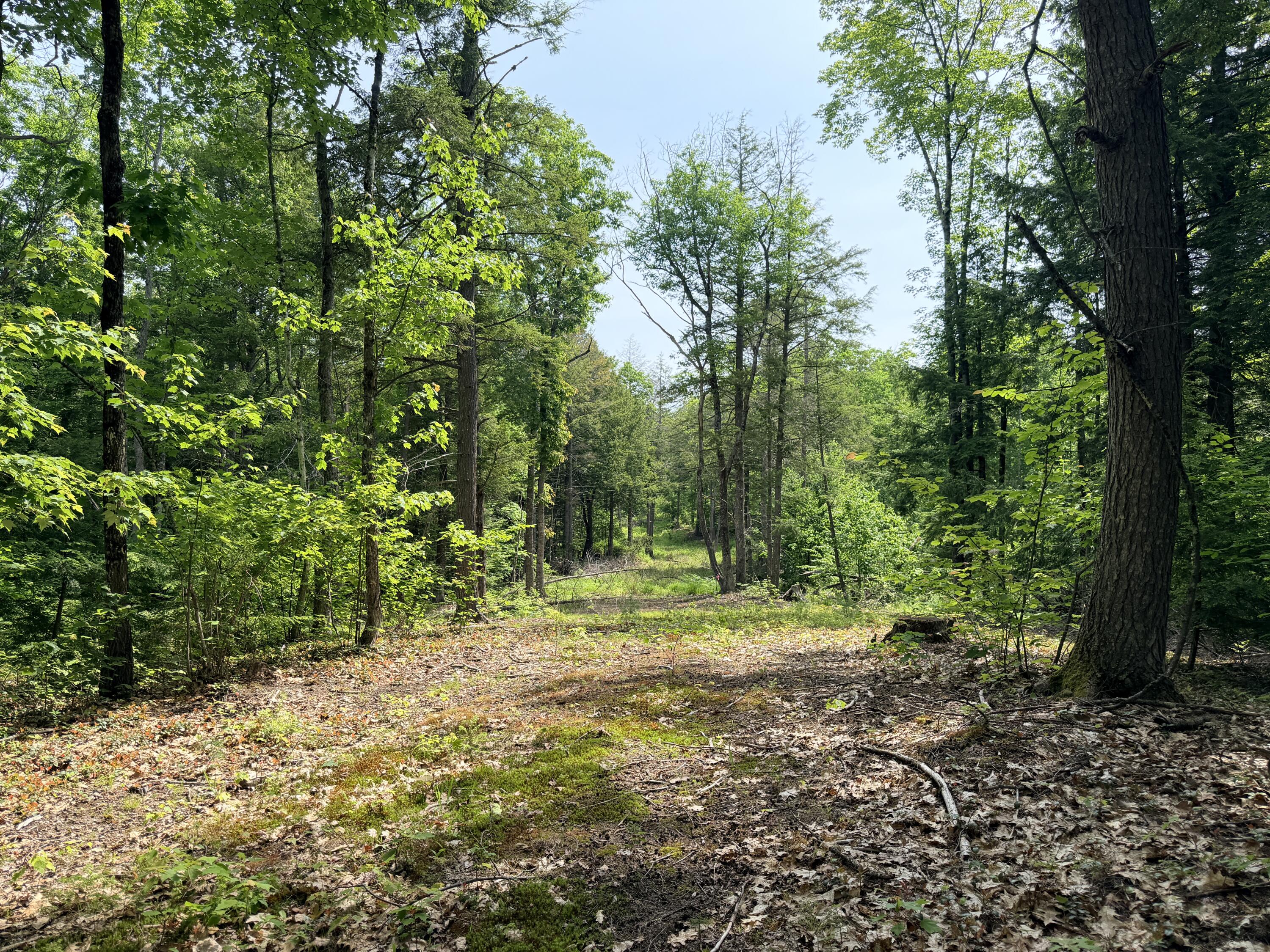 00 North Road Lot #3 Property Photo 18