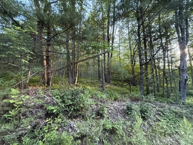 110 Calderwood Road Property Photo 2