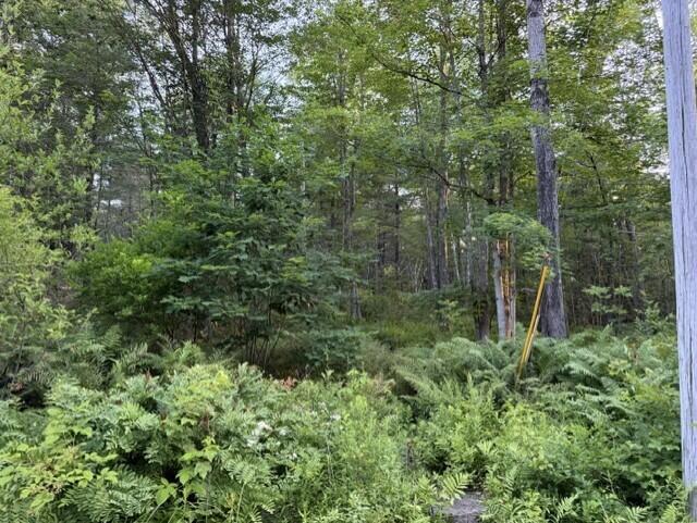 110 Calderwood Road Property Photo 3