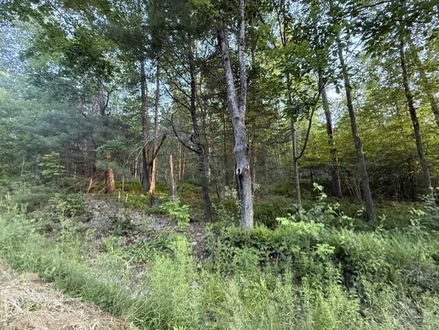 110 Calderwood Road Property Photo 5
