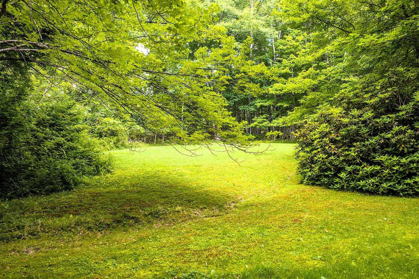345 Buzzell Hill Road Property Photo 31