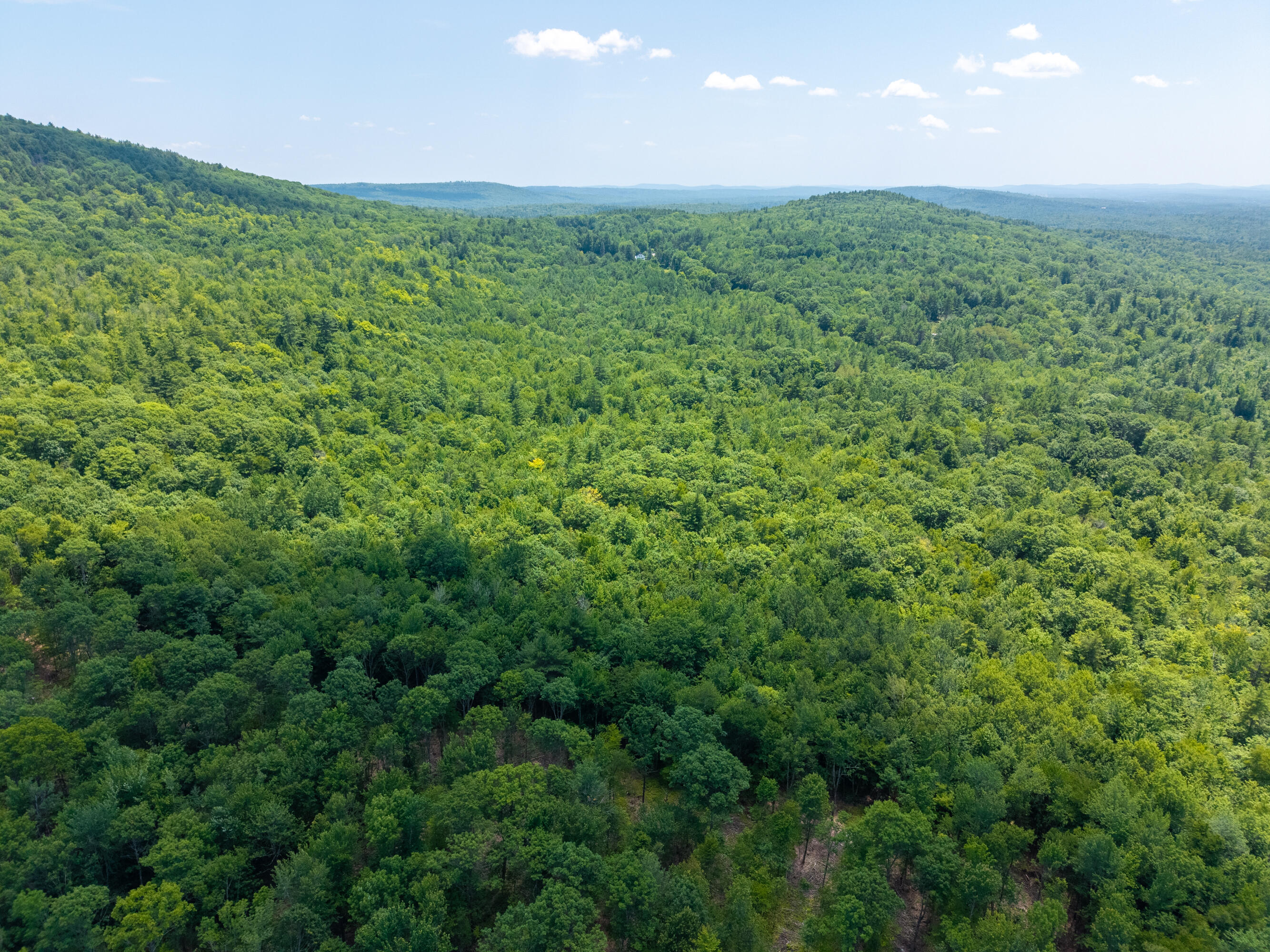 15 Donjon Lane Property Photo 64