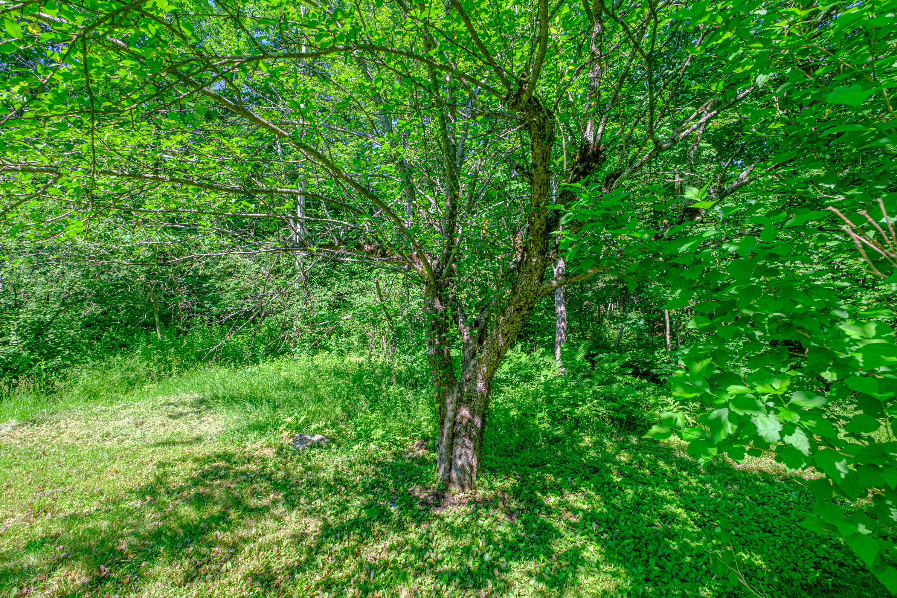 146 Demeritt Road Property Photo 32