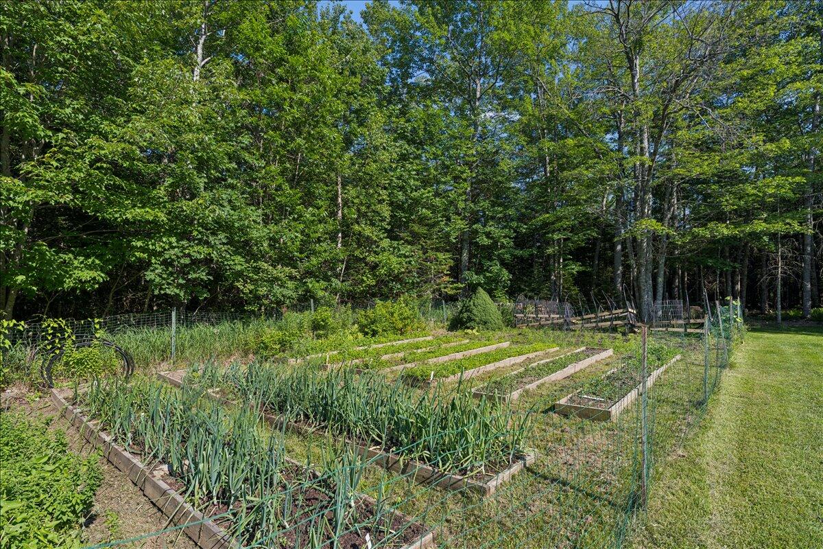 17 Anderson Road Property Photo 54