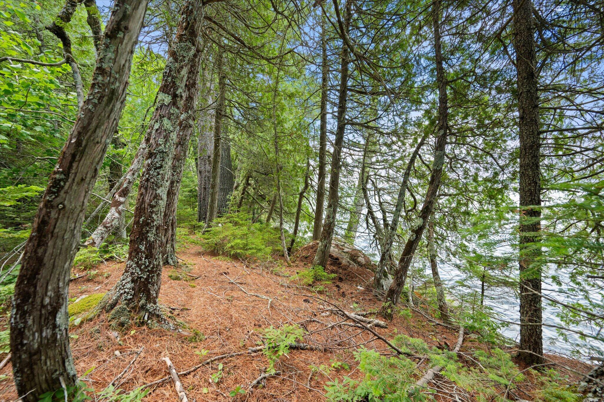 Lot#9a Railroad Bed Road Property Photo 3